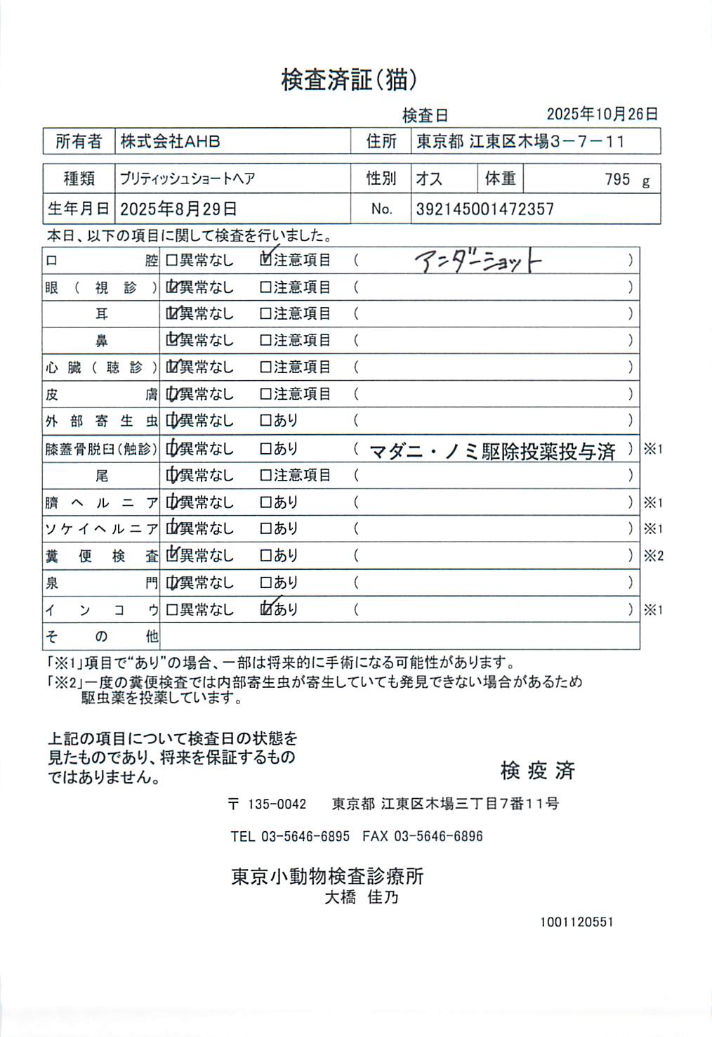ブリティッシュショートヘア
