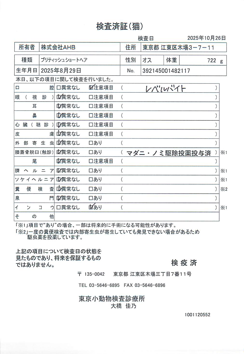 ブリティッシュショートヘア