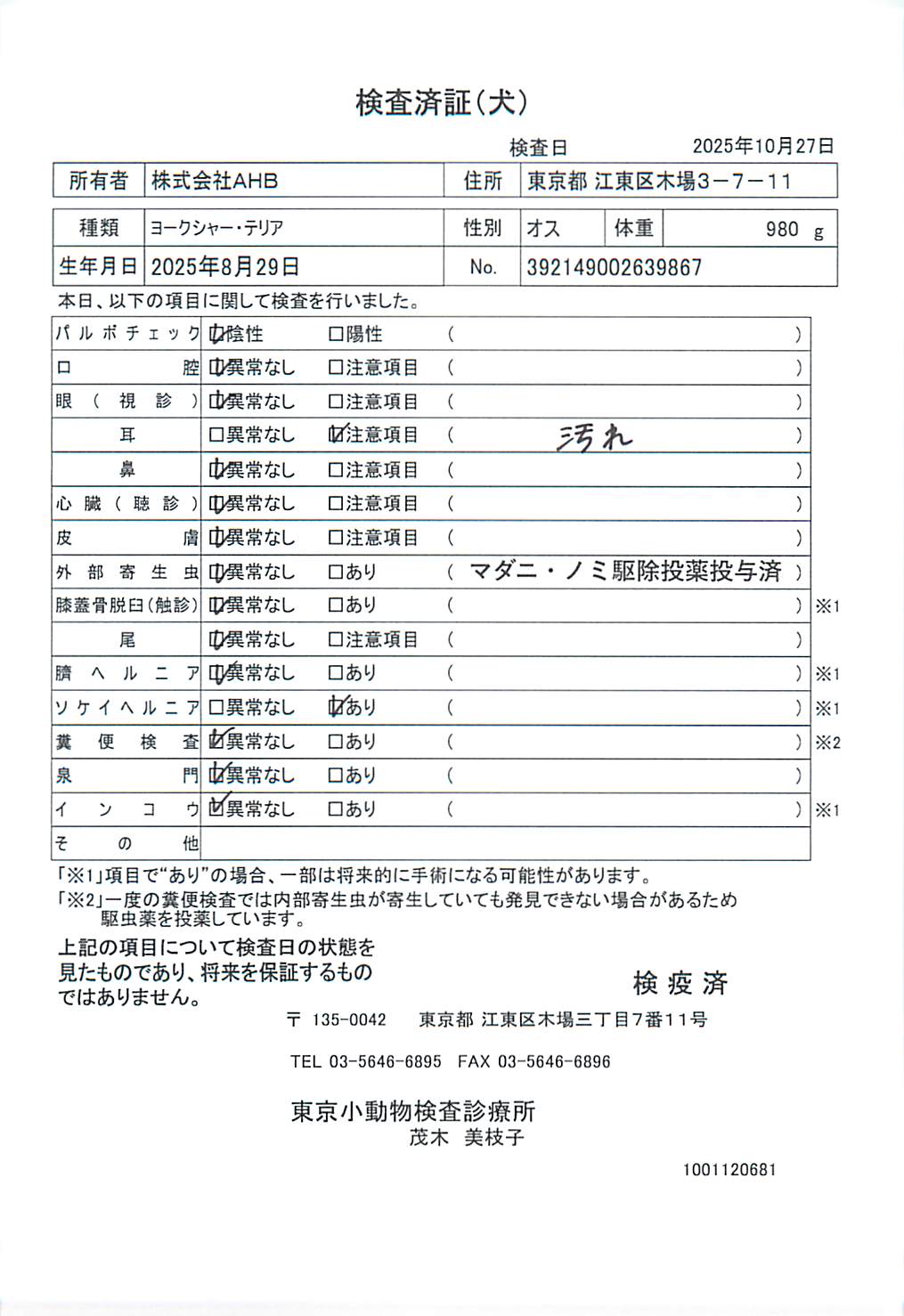 ヨークシャー・テリア