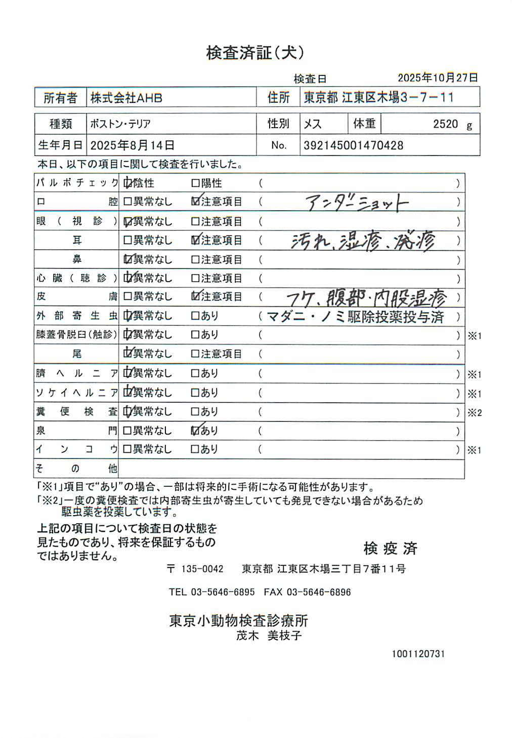 ボストン・テリア