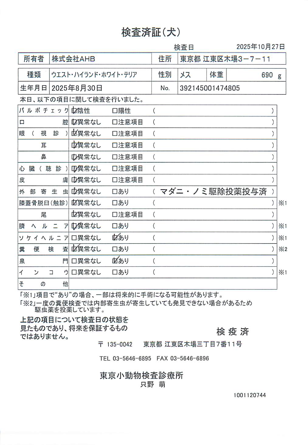 ウエスト・ハイランド・ホワイト・テリア