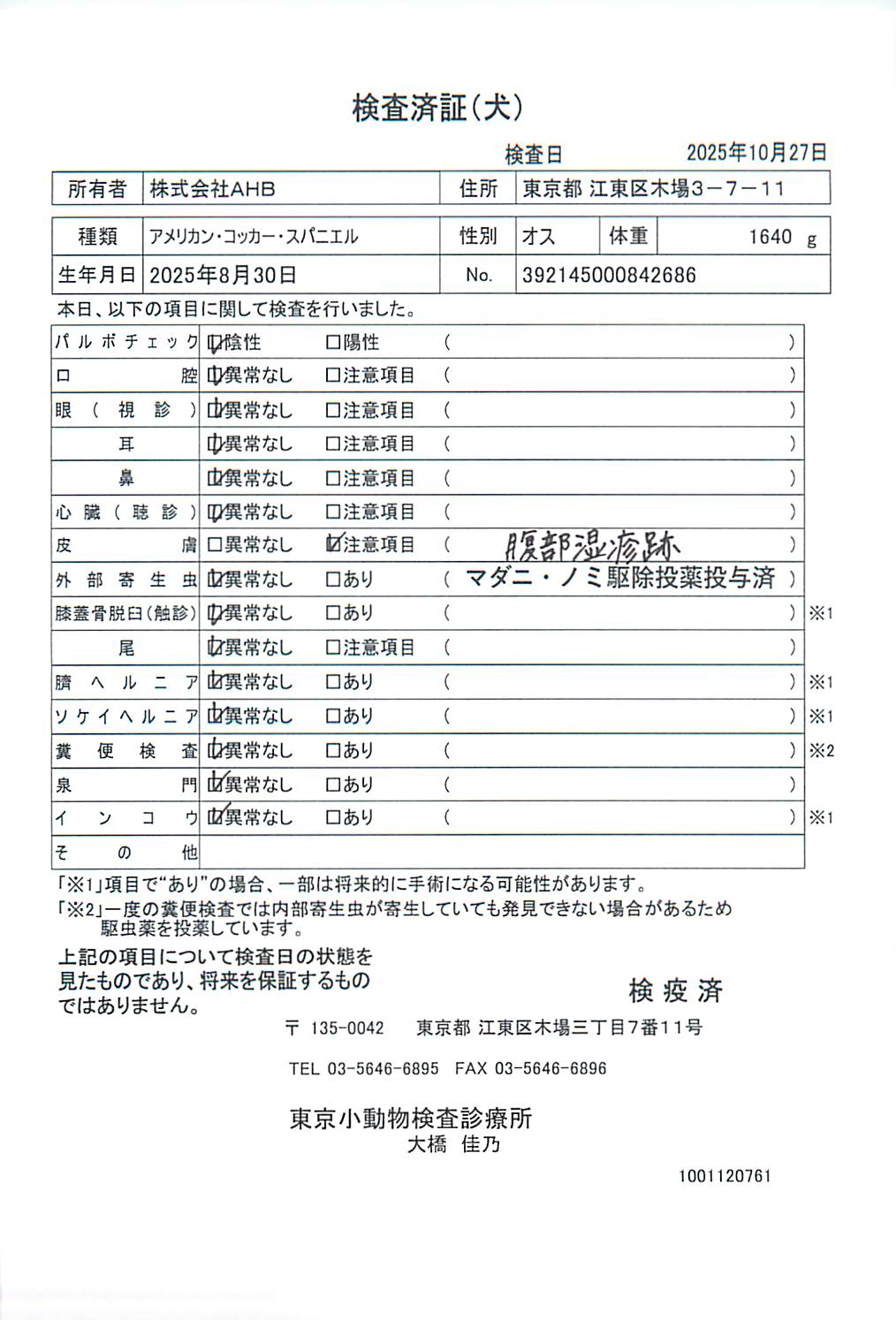 アメリカン・コッカー・スパニエル