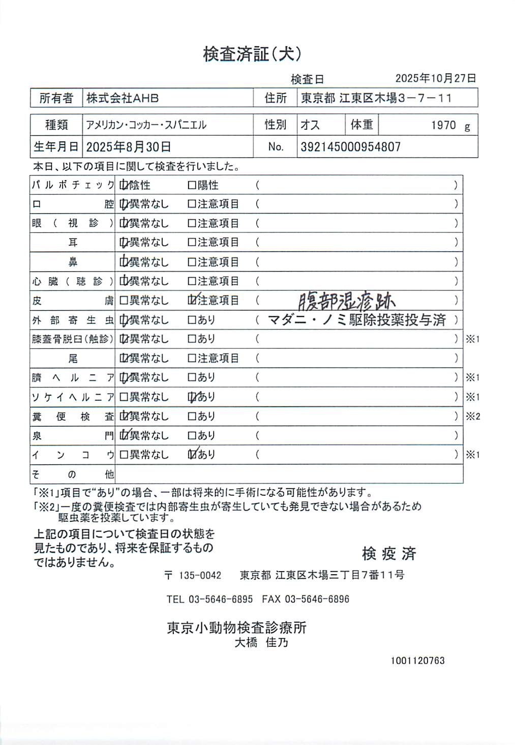 アメリカン・コッカー・スパニエル