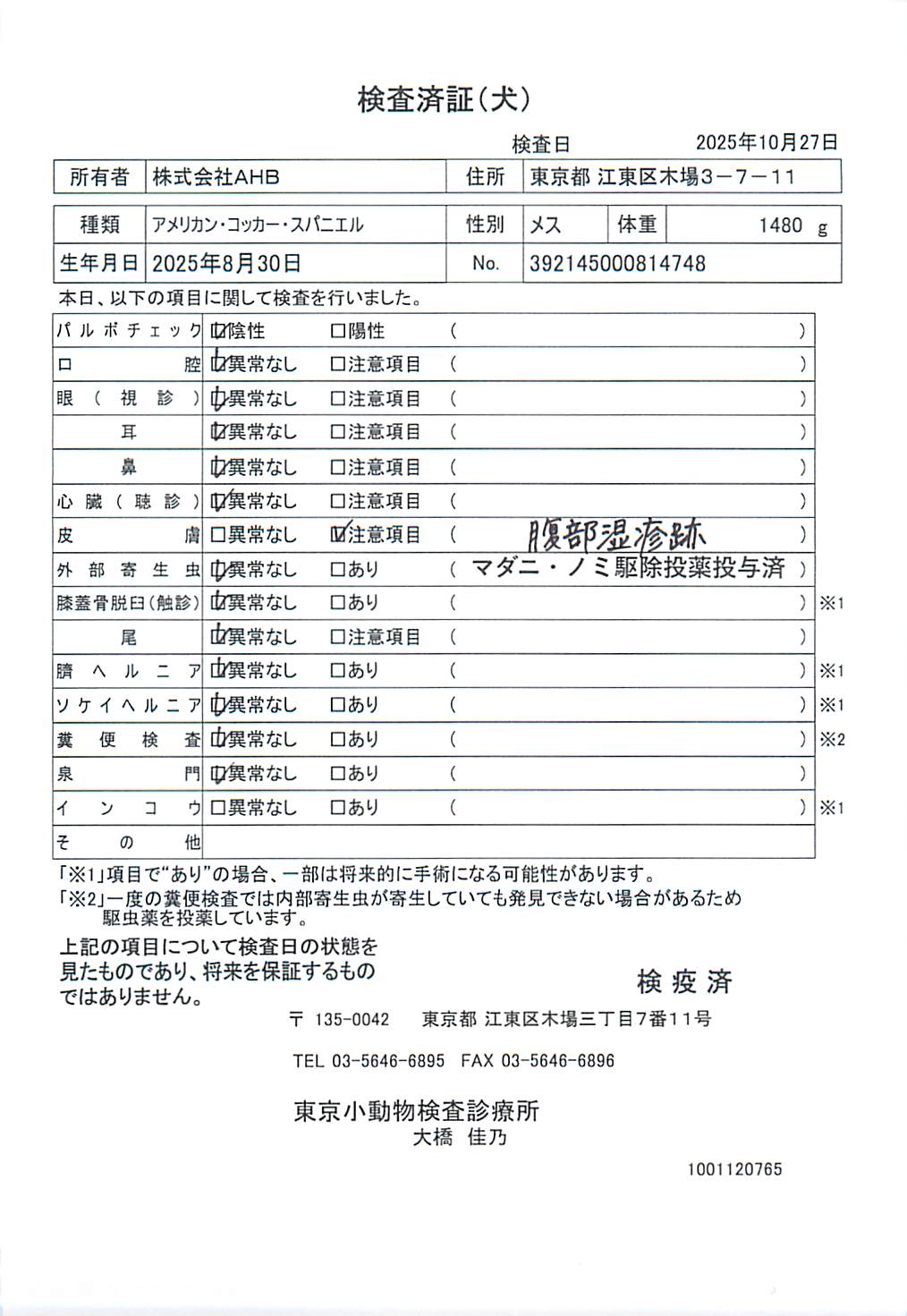 アメリカン・コッカー・スパニエル