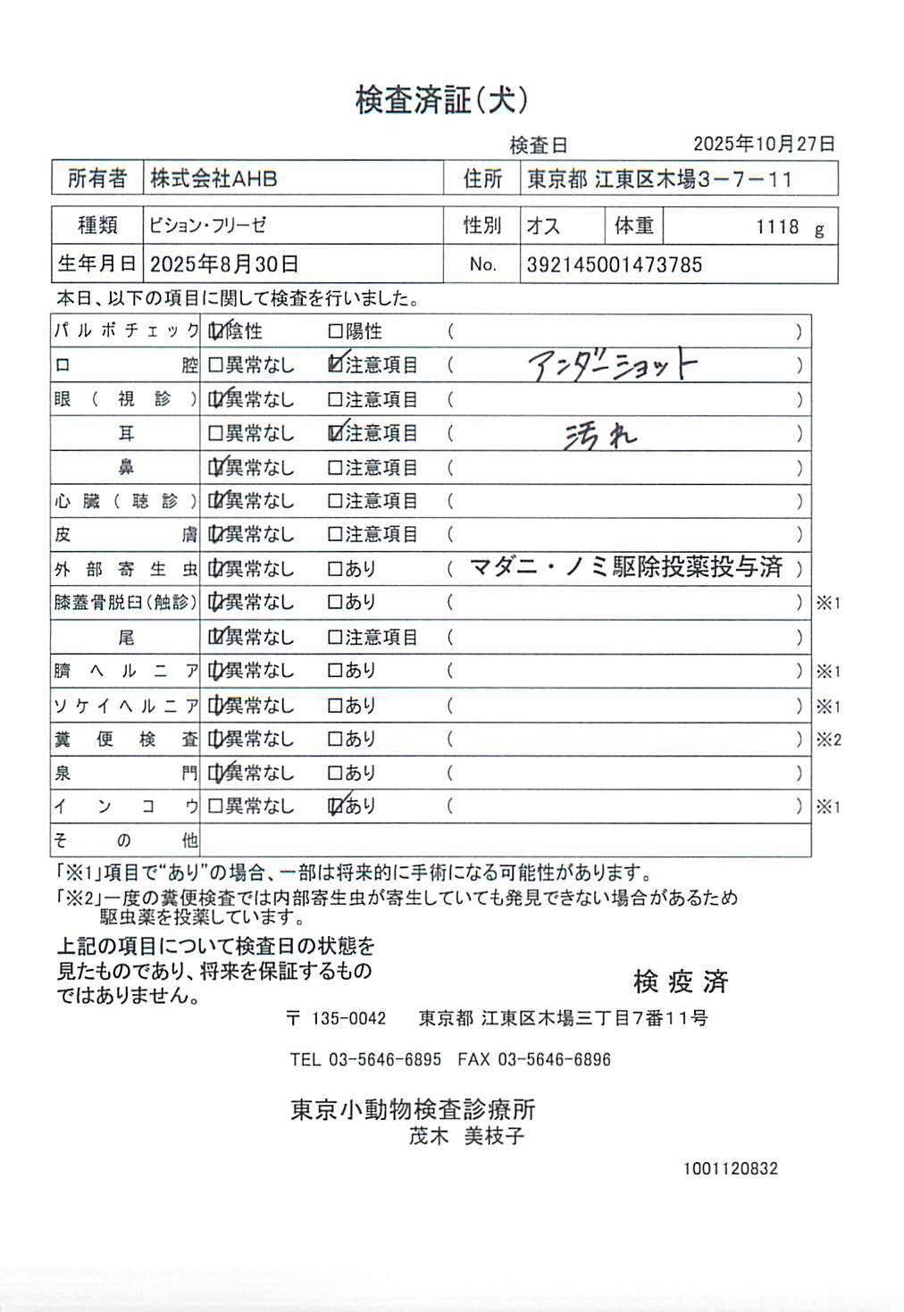 ビション・フリーゼ