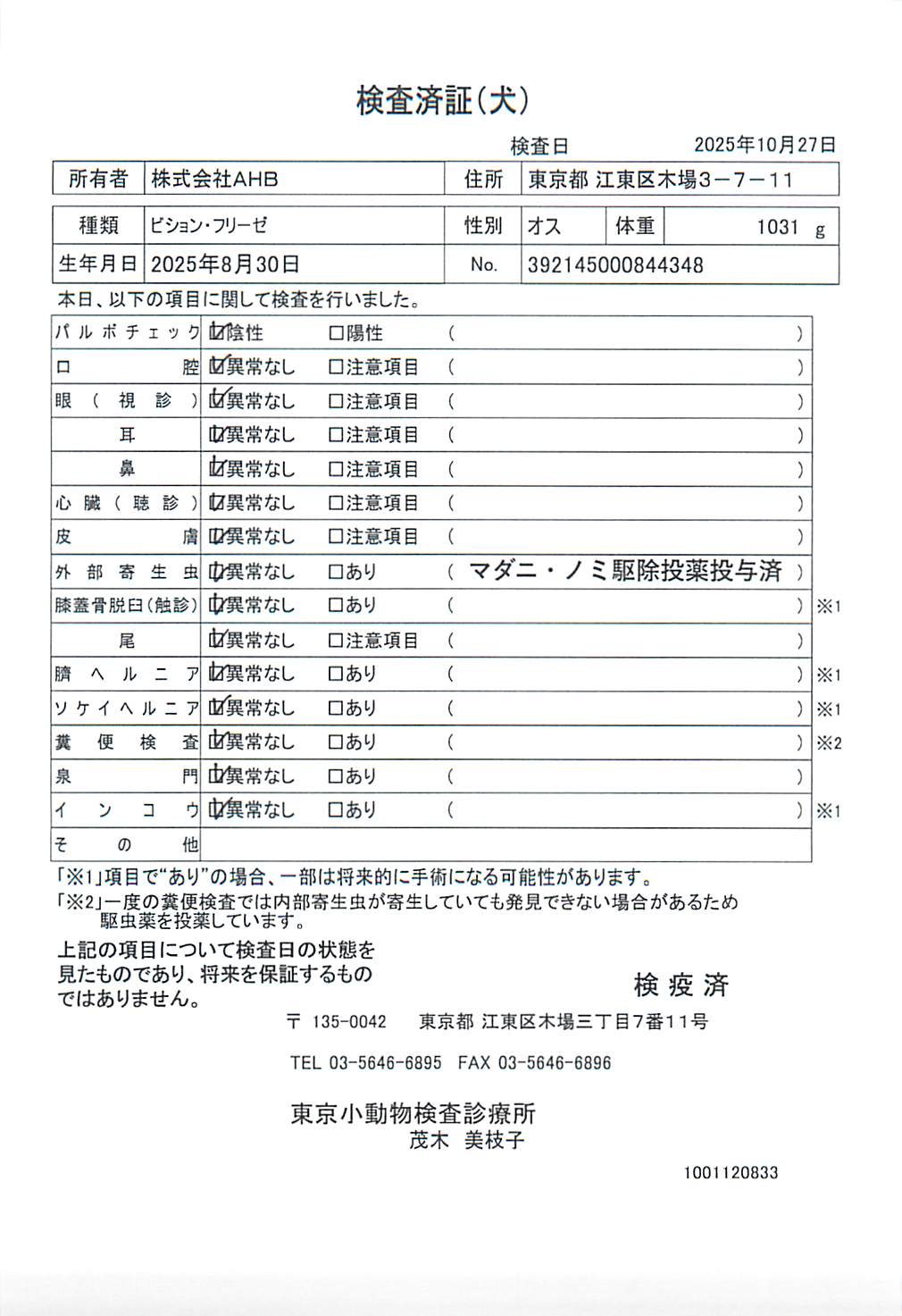 ビション・フリーゼ