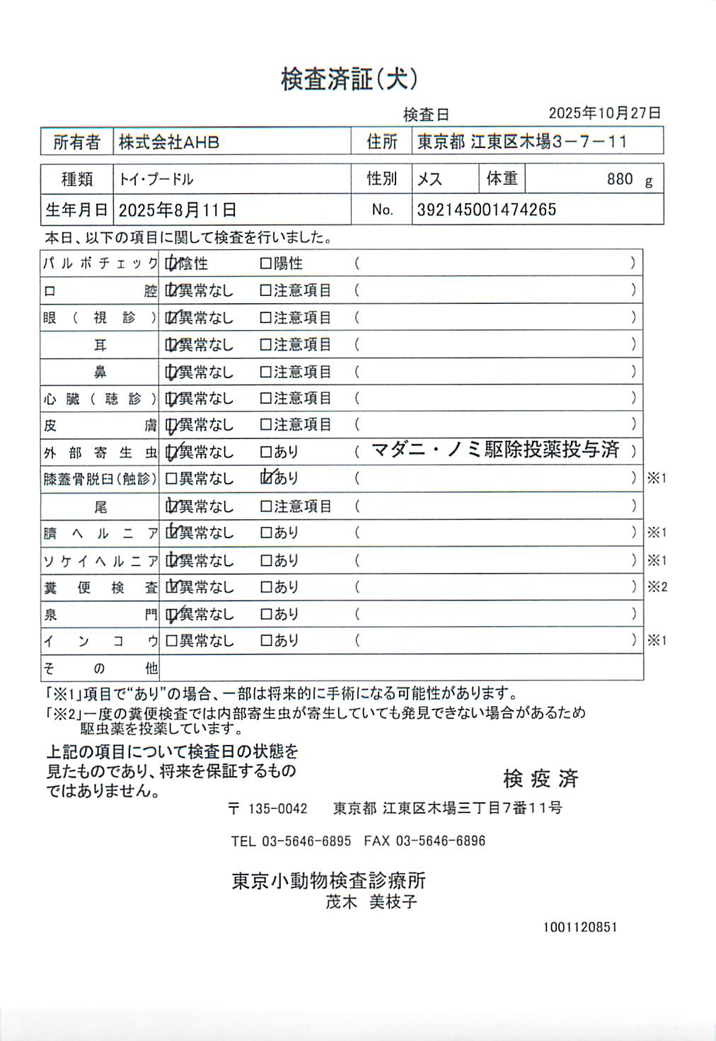 トイ・プードル