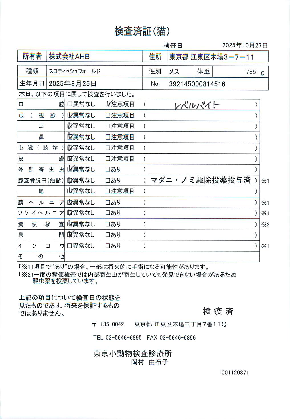 スコティッシュフォールド