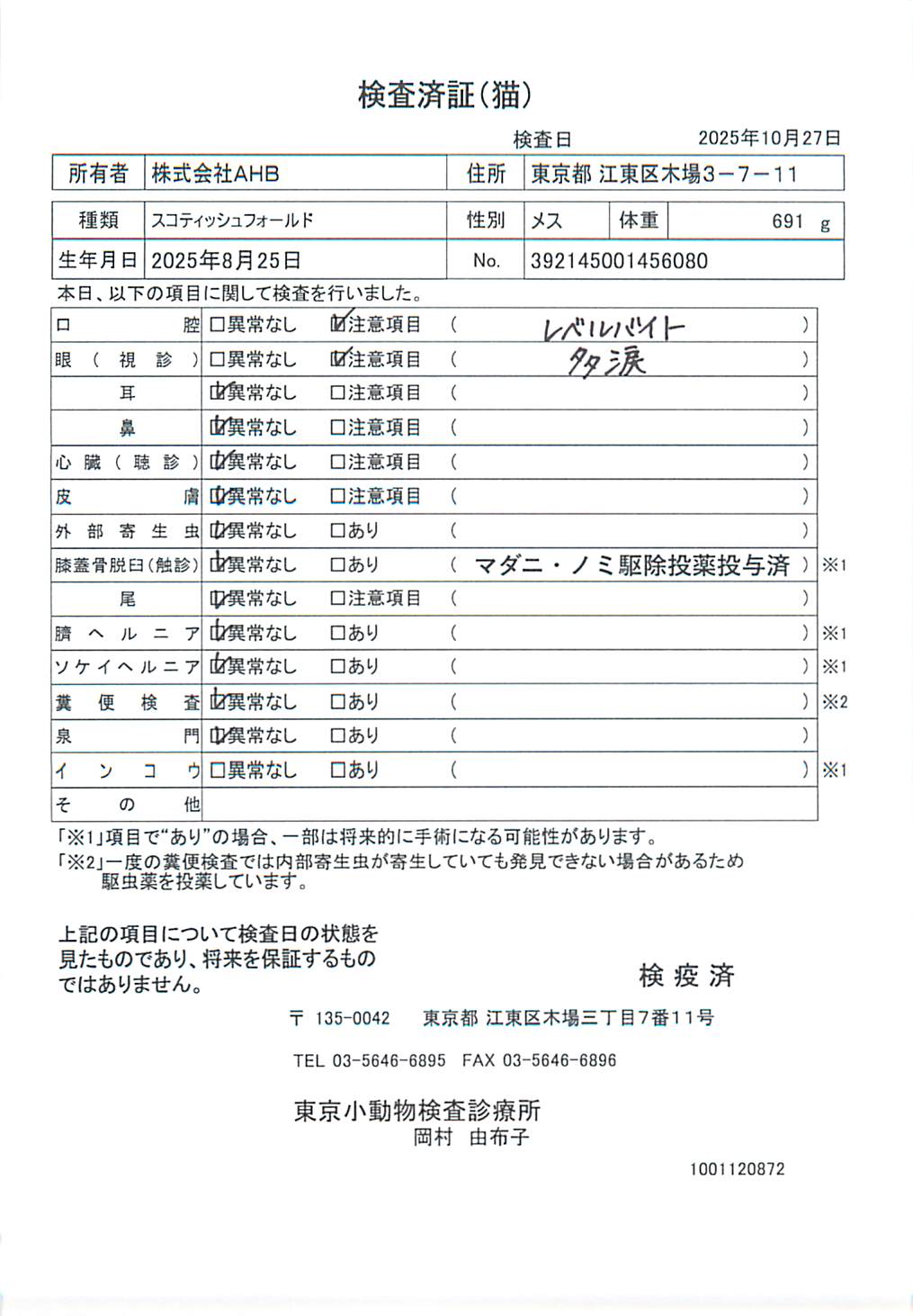 スコティッシュフォールド