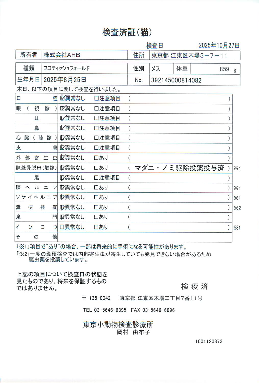 スコティッシュフォールド