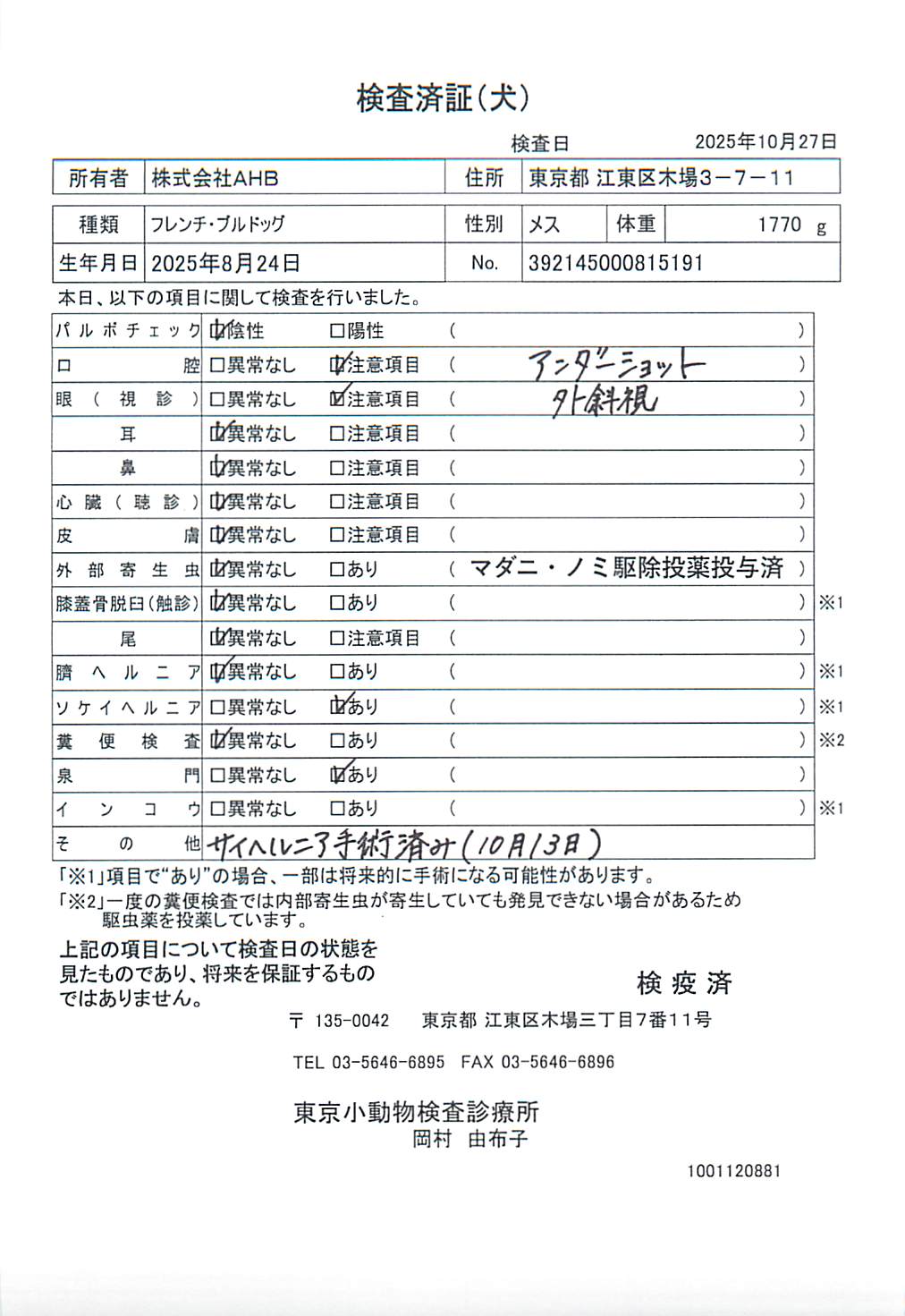 フレンチ・ブルドッグ