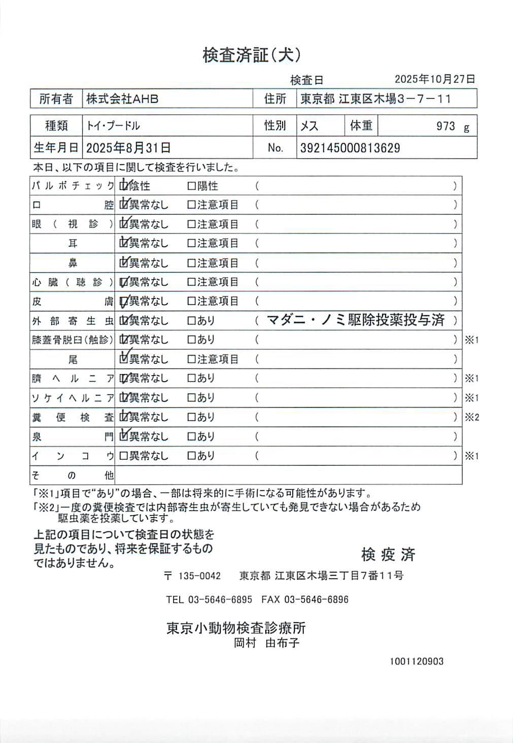 トイ・プードル