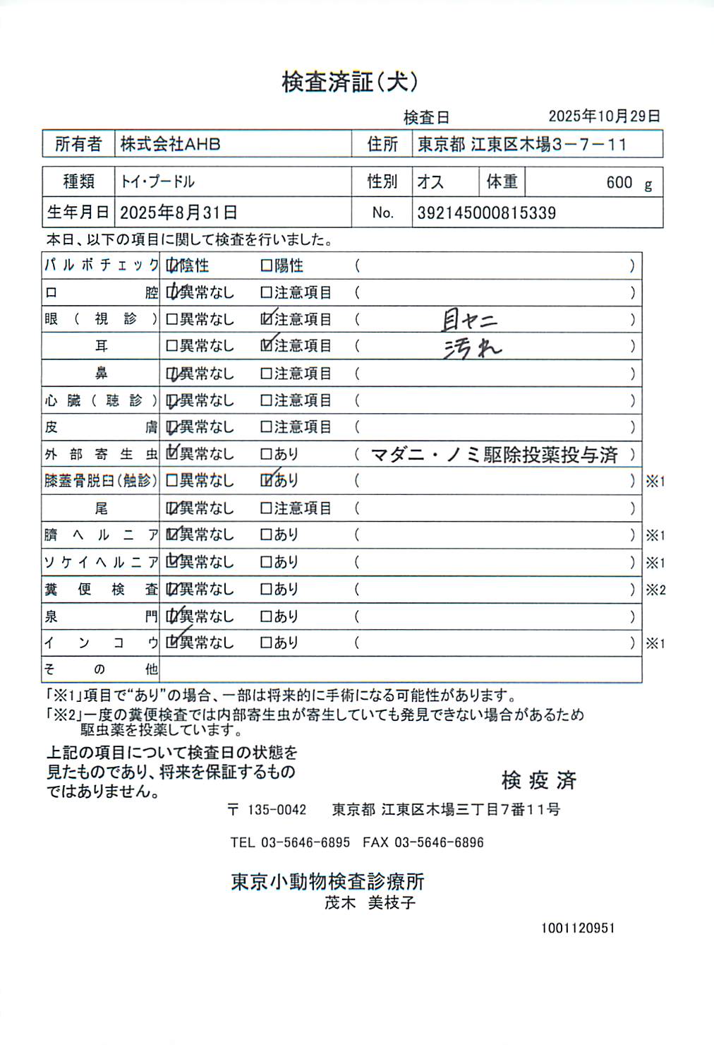 トイ・プードル