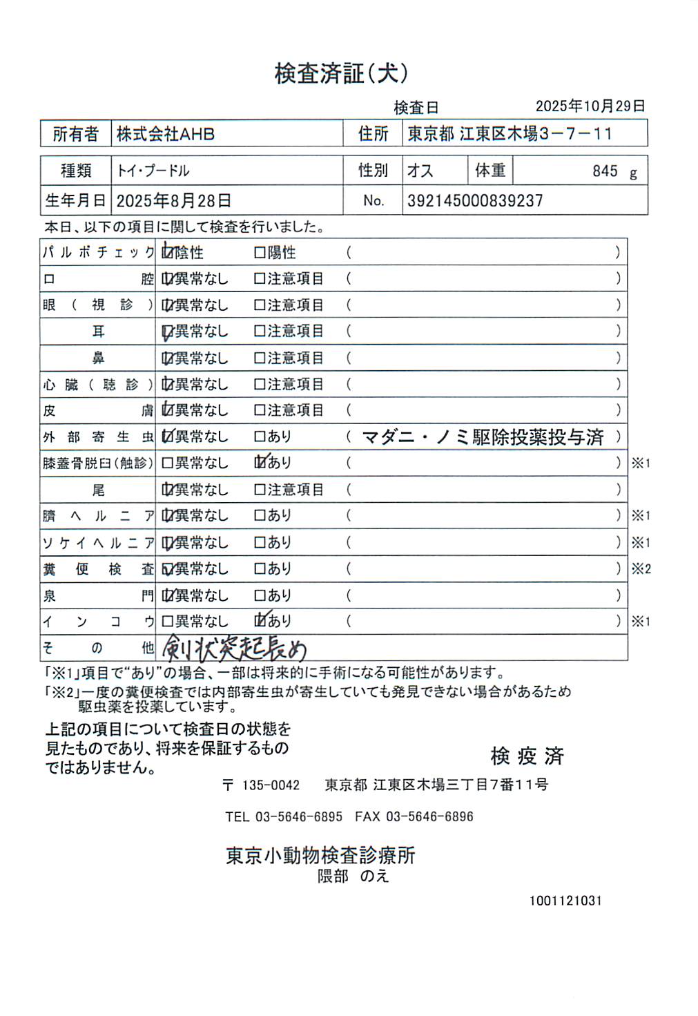 トイ・プードル