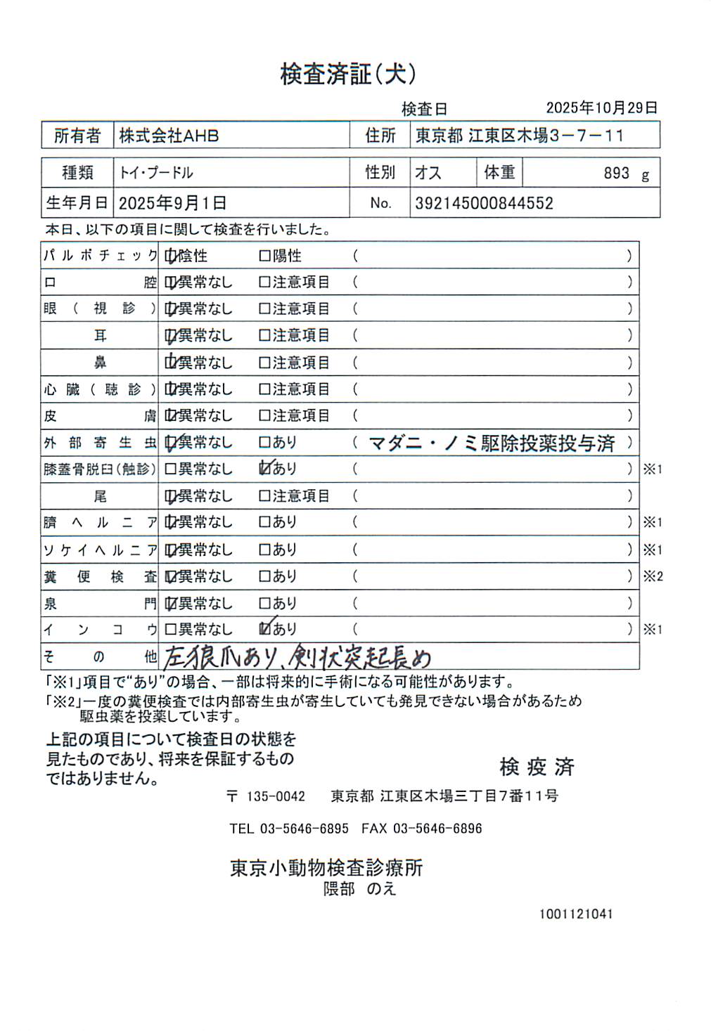 トイ・プードル