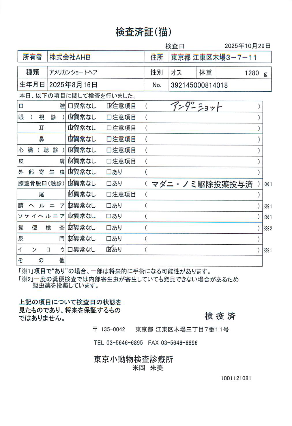 アメリカンショートヘア