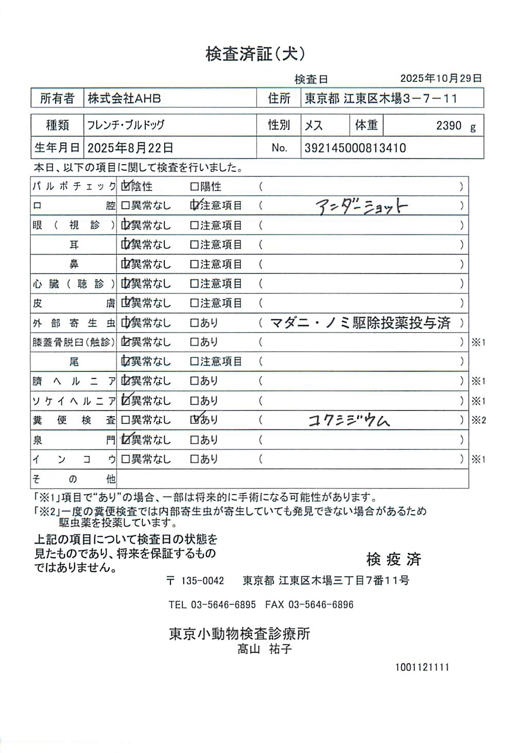 フレンチ・ブルドッグ