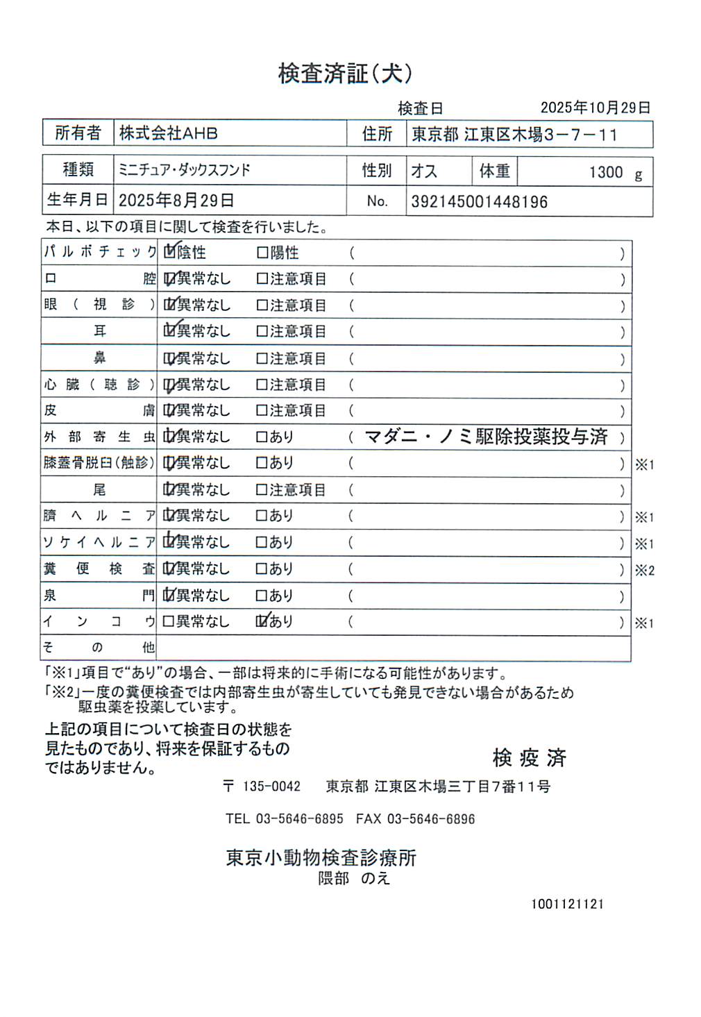 ミニチュア・ダックスフンド