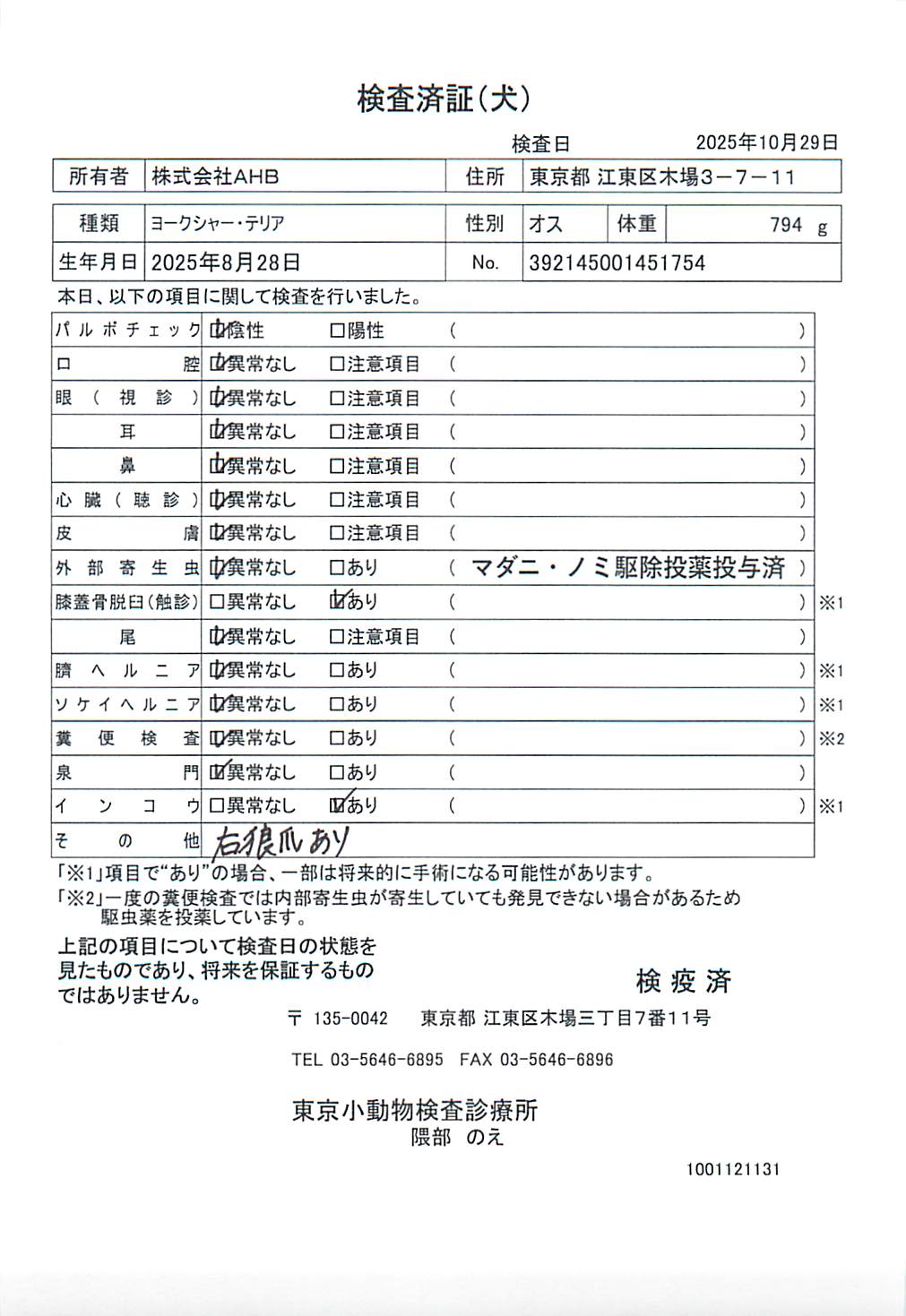 ヨークシャー・テリア