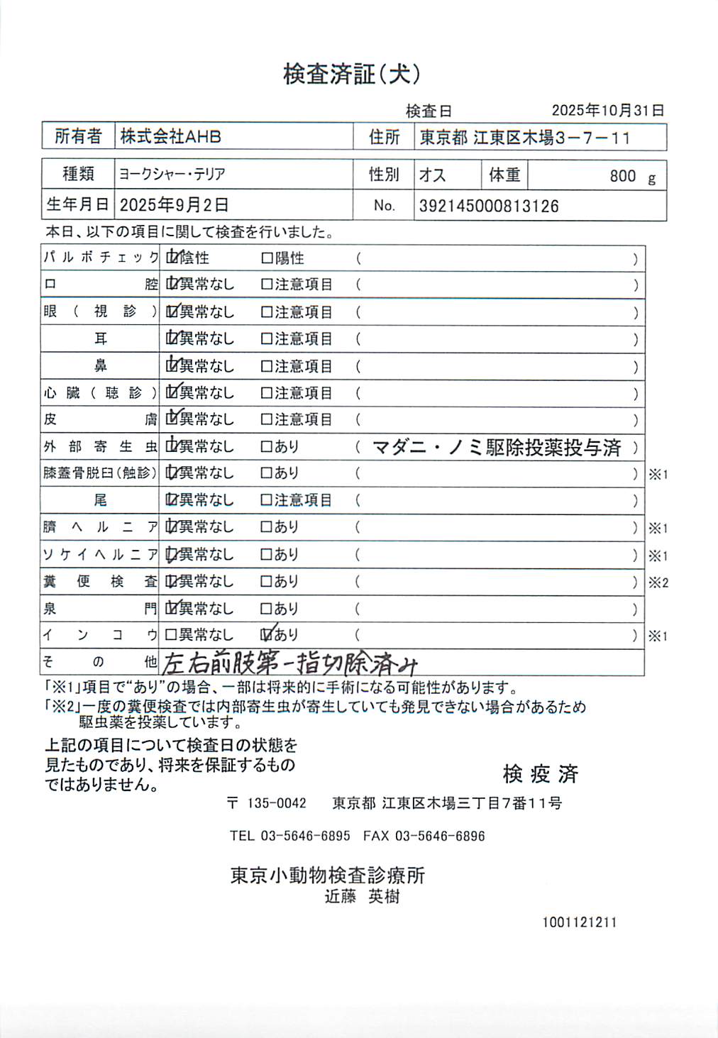 ヨークシャー・テリア