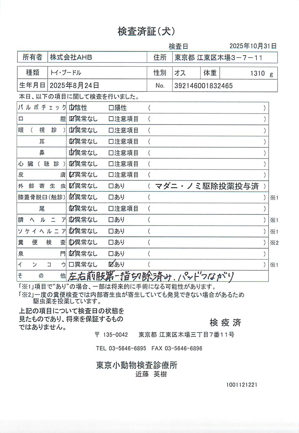 トイ・プードル