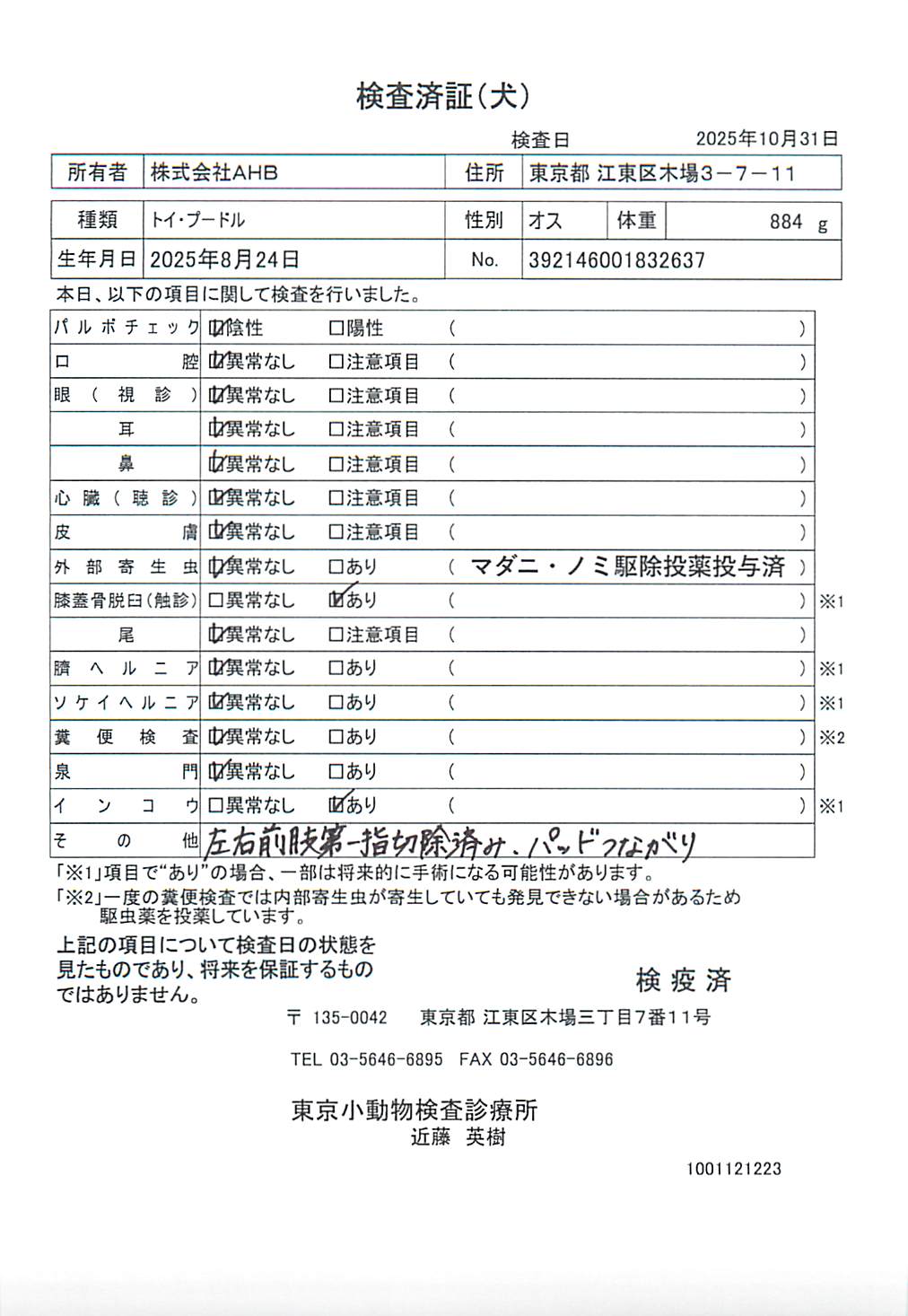 トイ・プードル