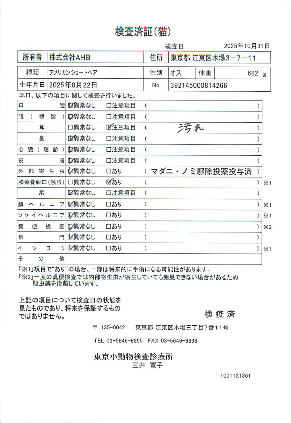アメリカンショートヘア