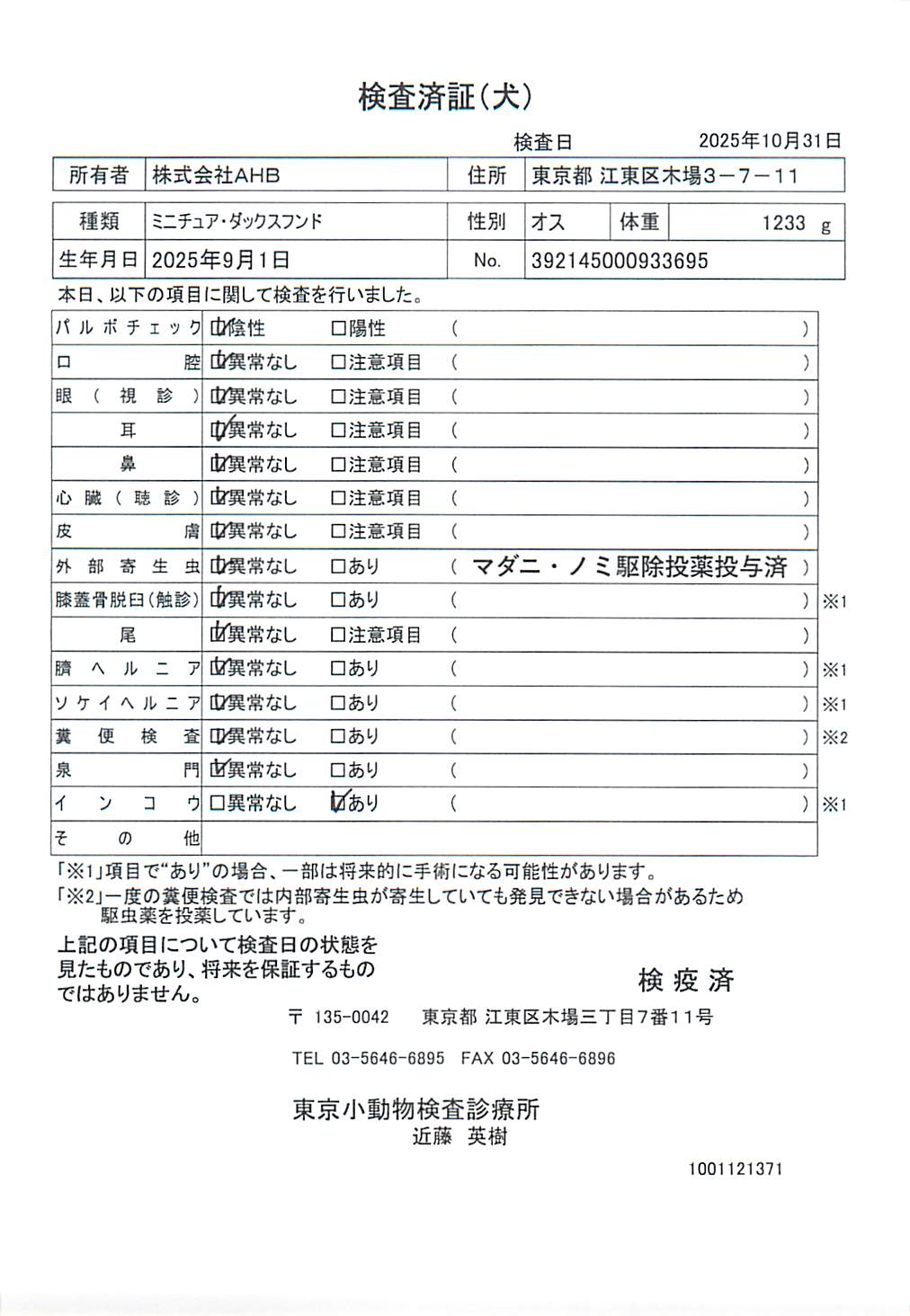 ミニチュア・ダックスフンド