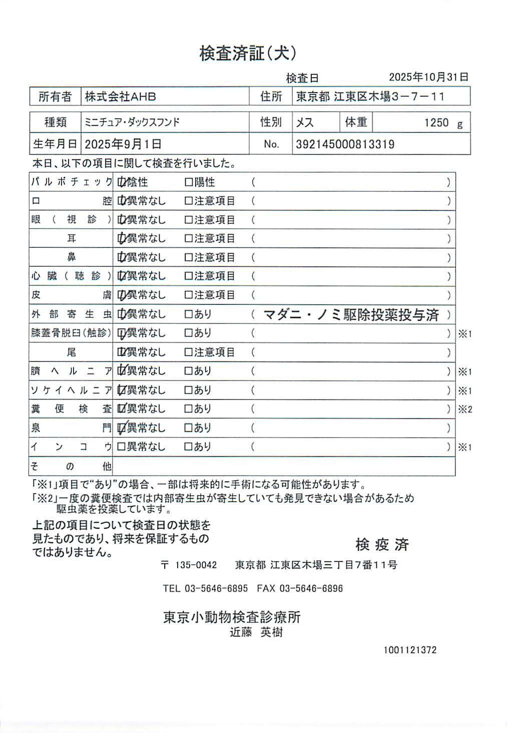 ミニチュア・ダックスフンド