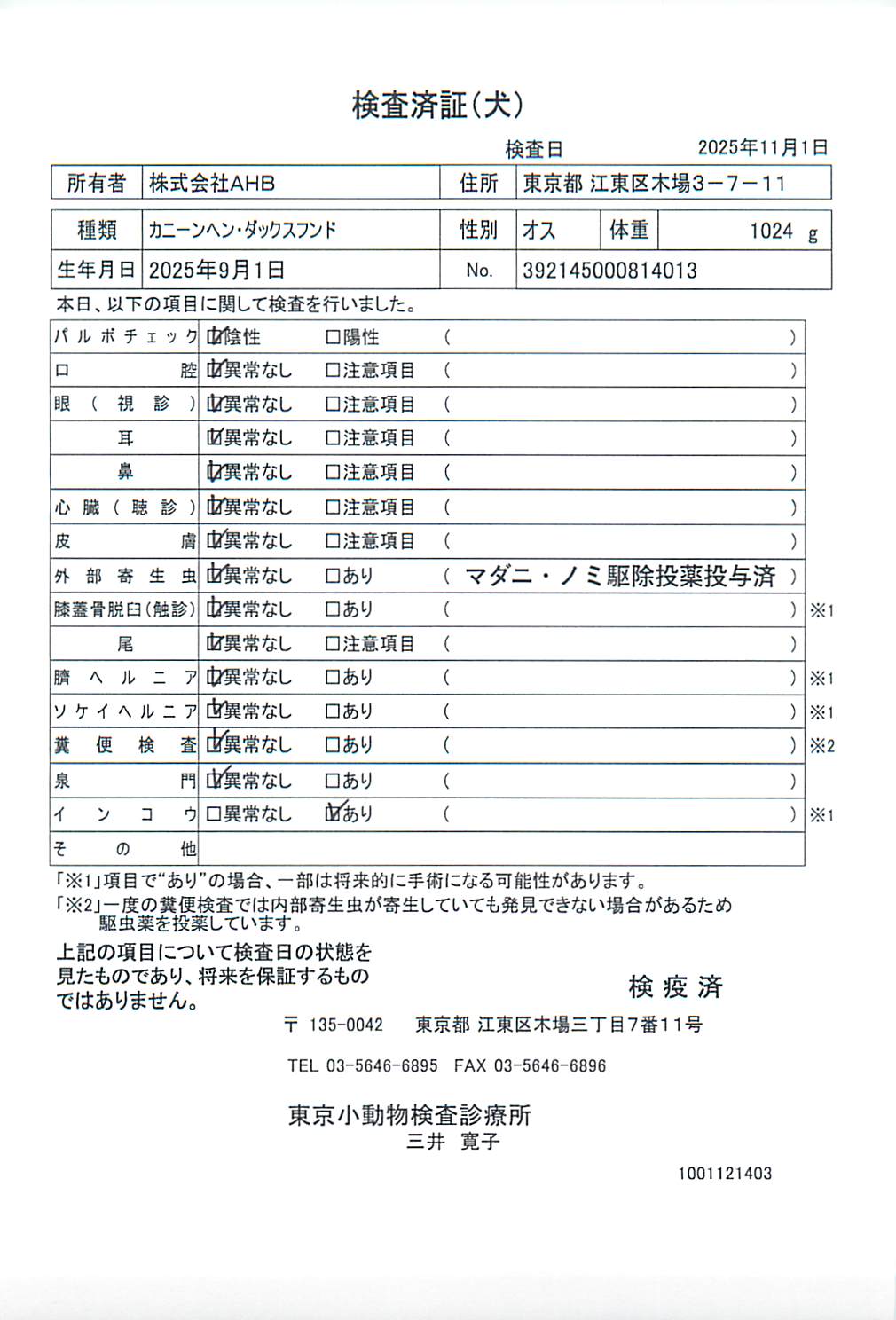 カニーンヘン・ダックスフンド