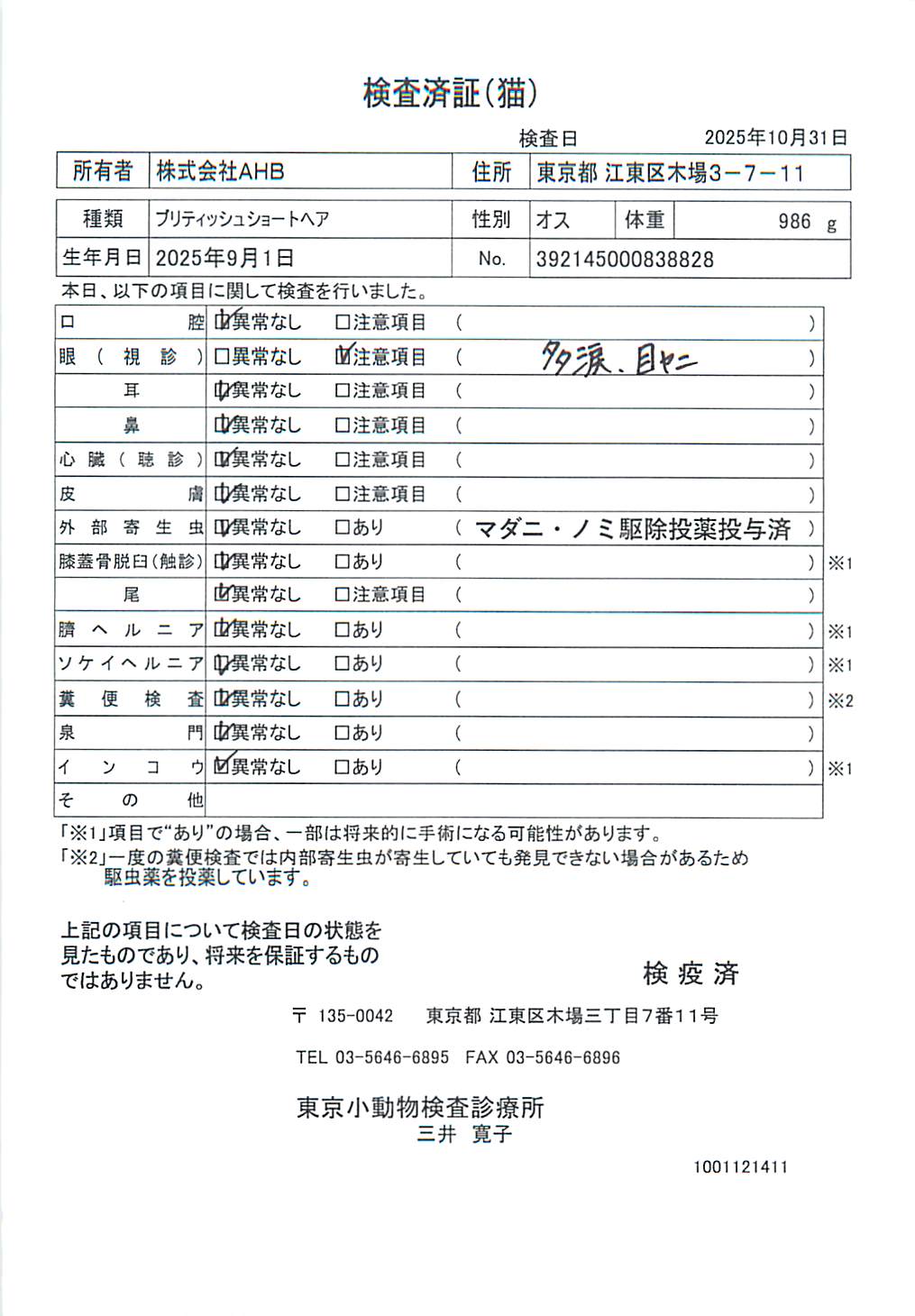 ブリティッシュショートヘア