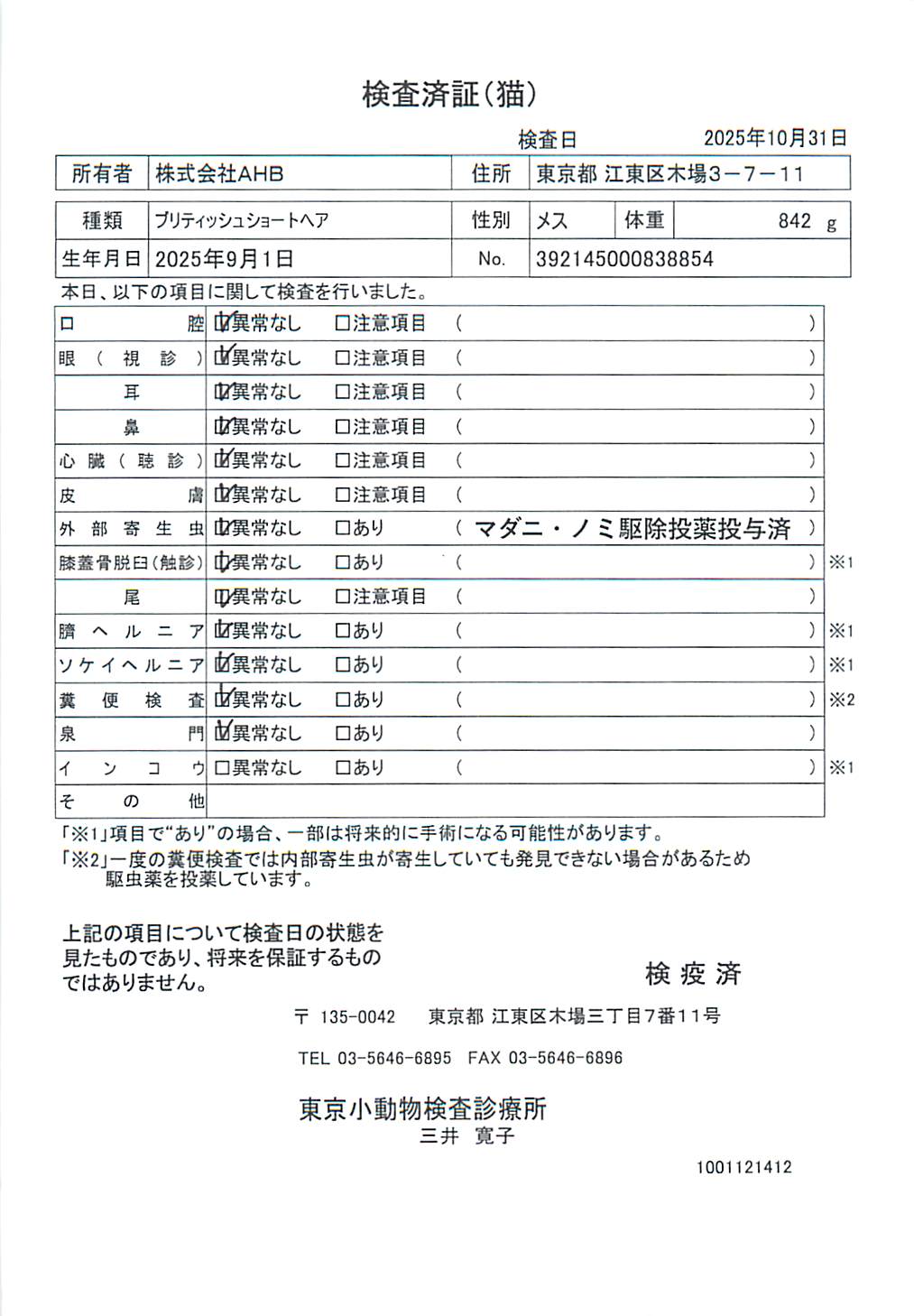 ブリティッシュショートヘア