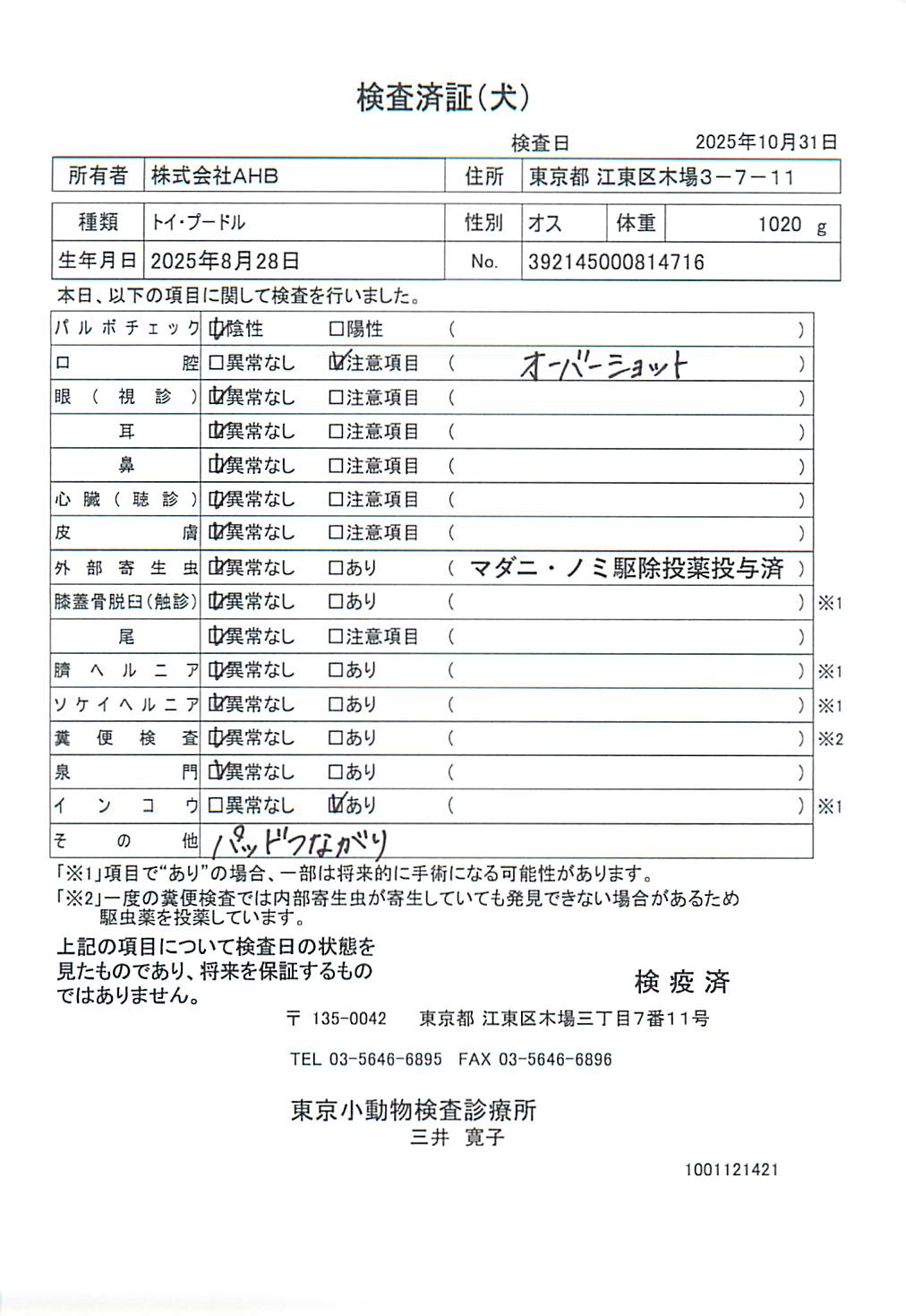 トイ・プードル