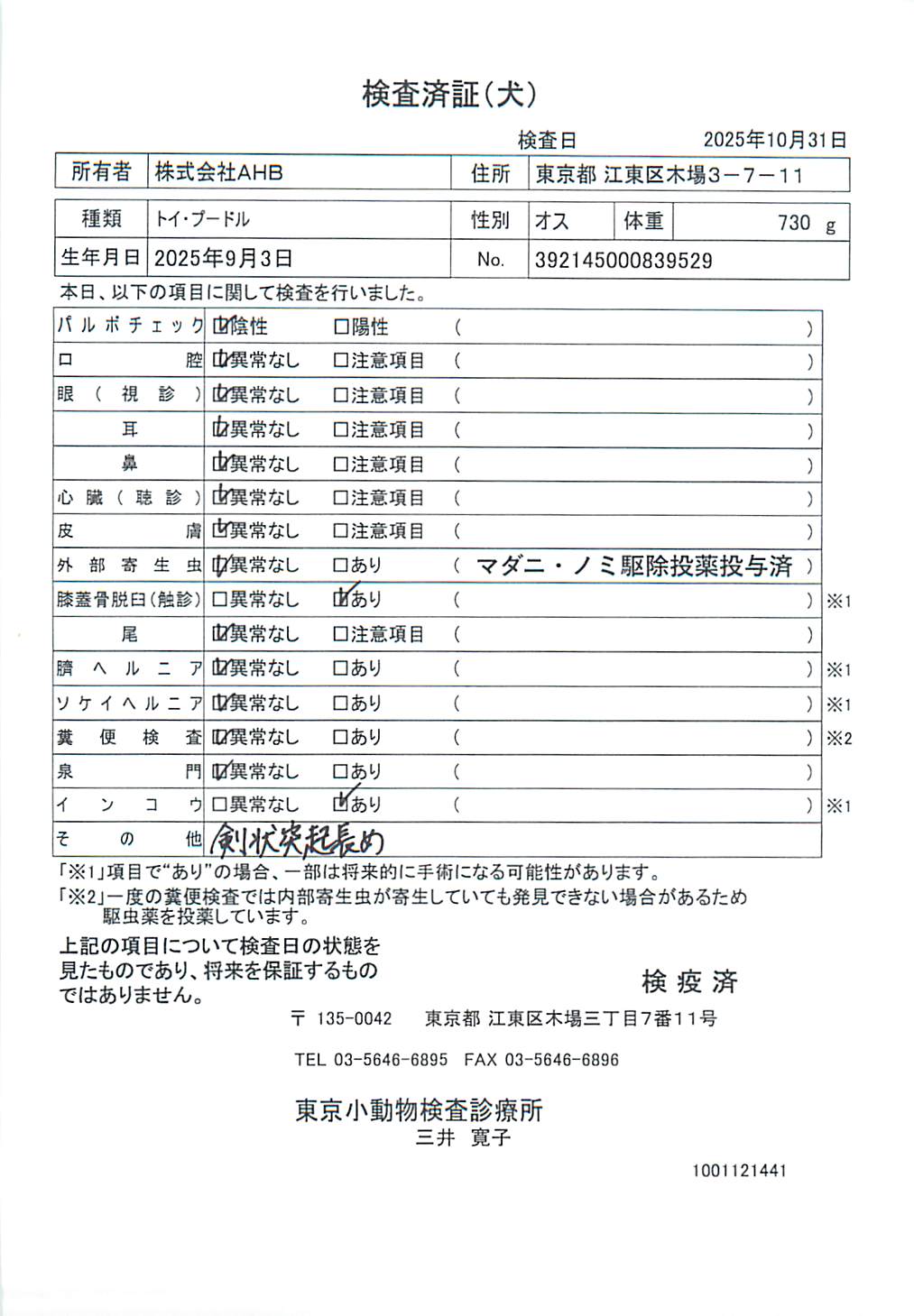 トイ・プードル