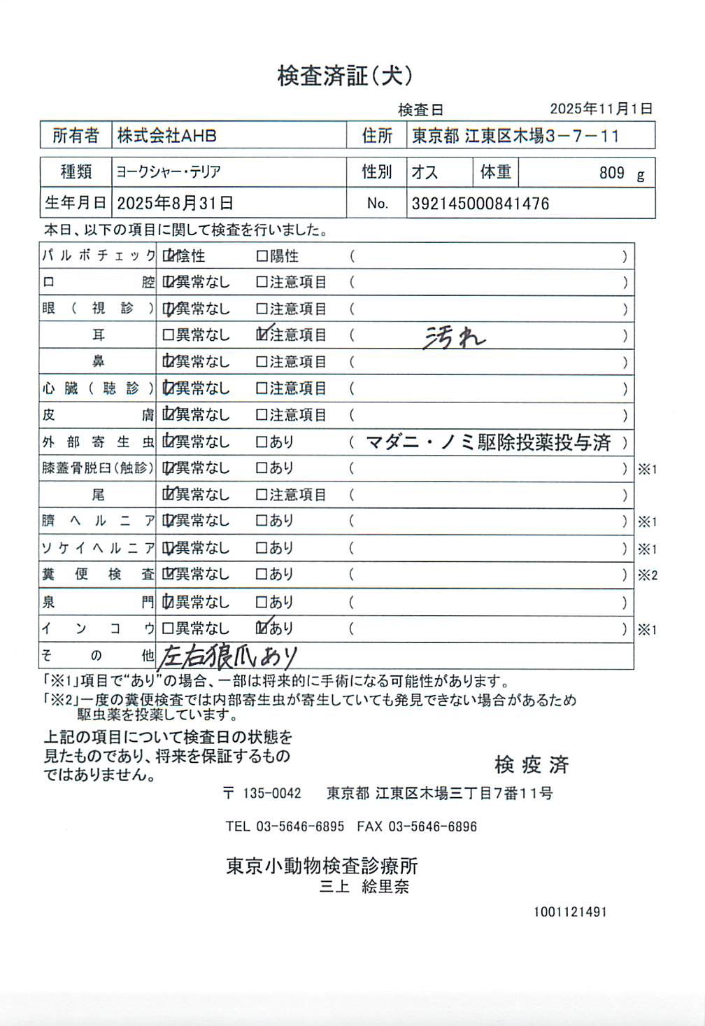 ヨークシャー・テリア