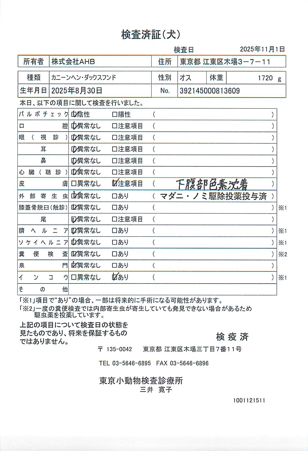 カニーンヘン・ダックスフンド