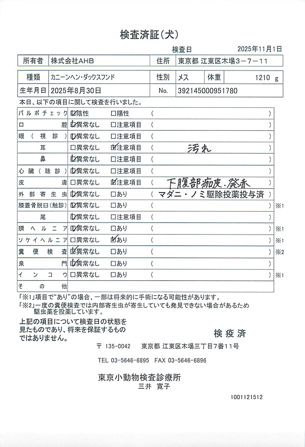 カニーンヘン・ダックスフンド