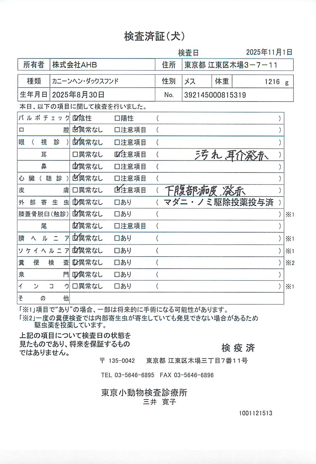 カニーンヘン・ダックスフンド