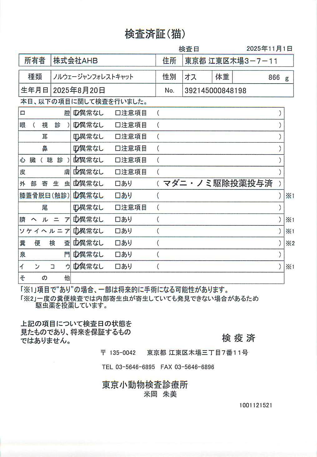 ノルウェージャンフォレストキャット