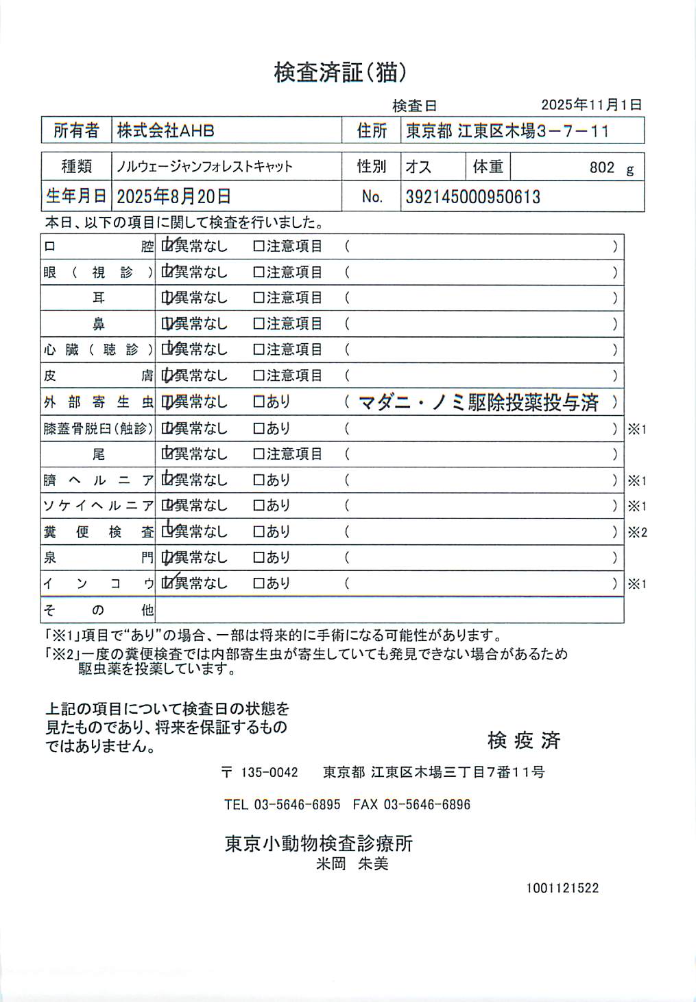 ノルウェージャンフォレストキャット