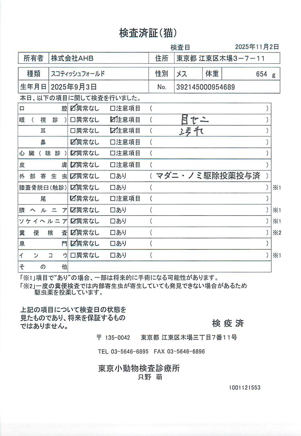 スコティッシュフォールド