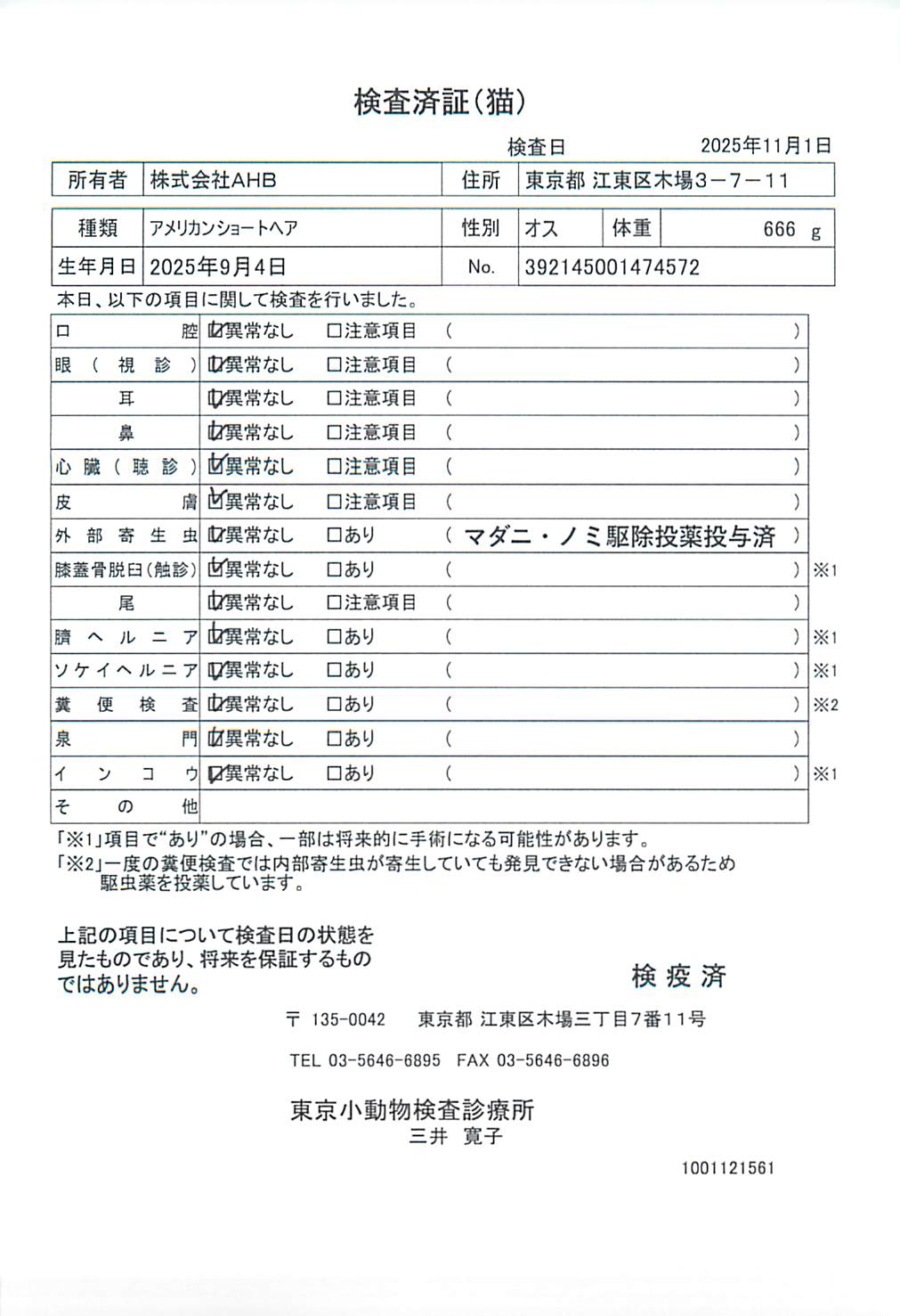 アメリカンショートヘア