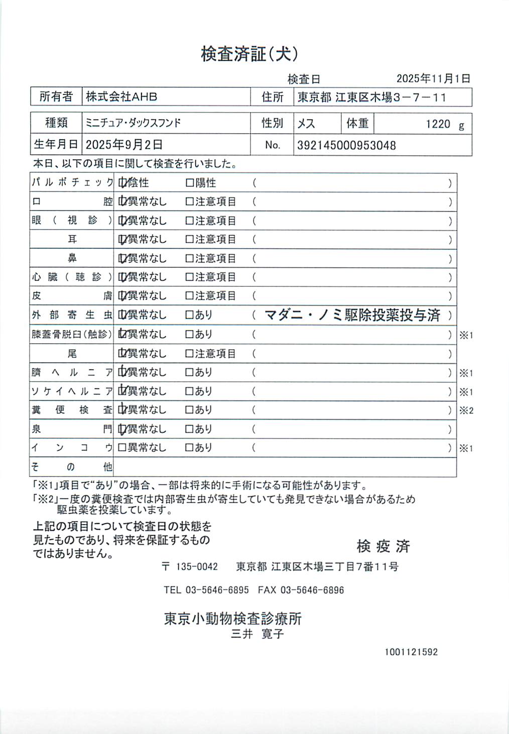 ミニチュア・ダックスフンド