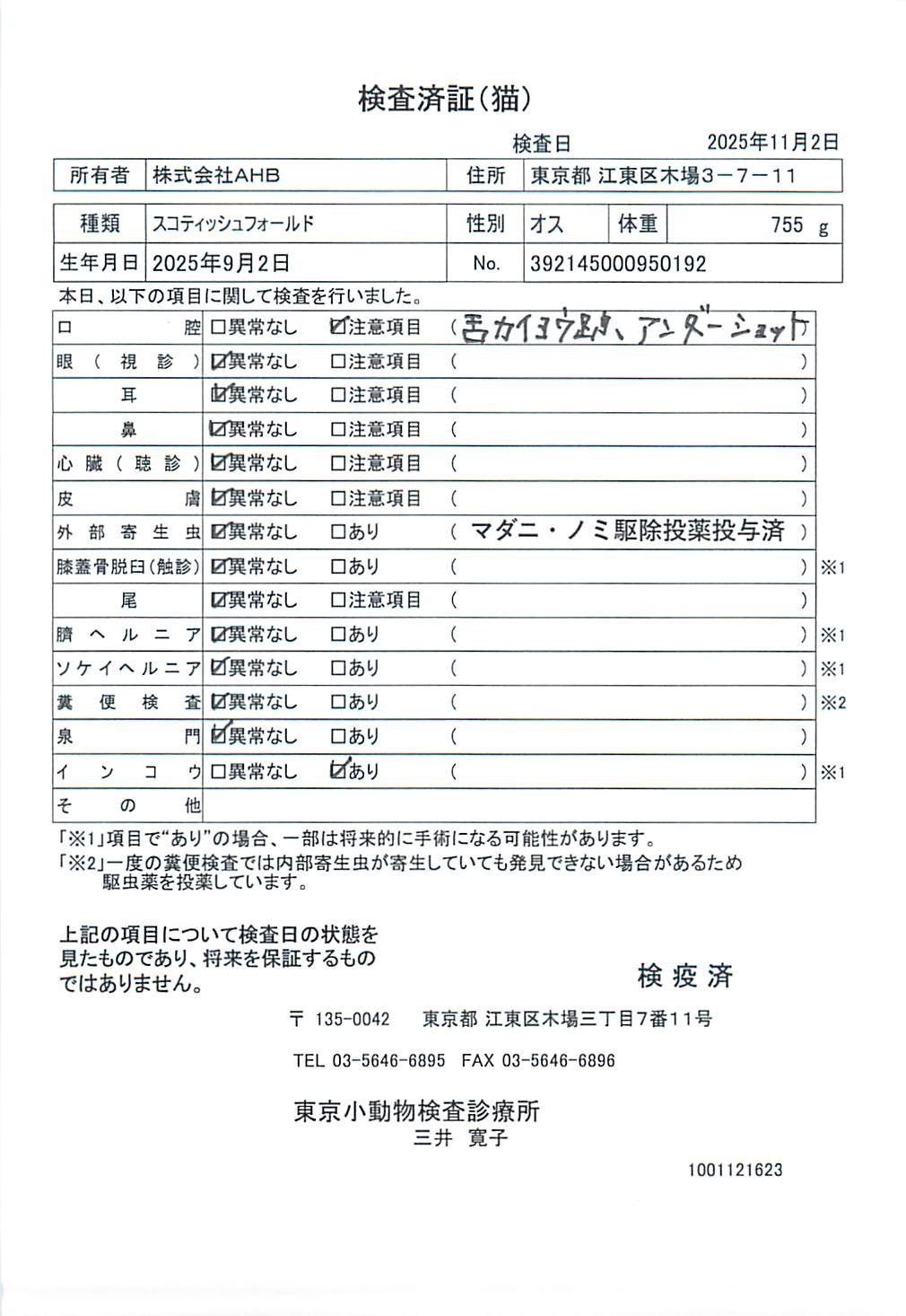 スコティッシュフォールド