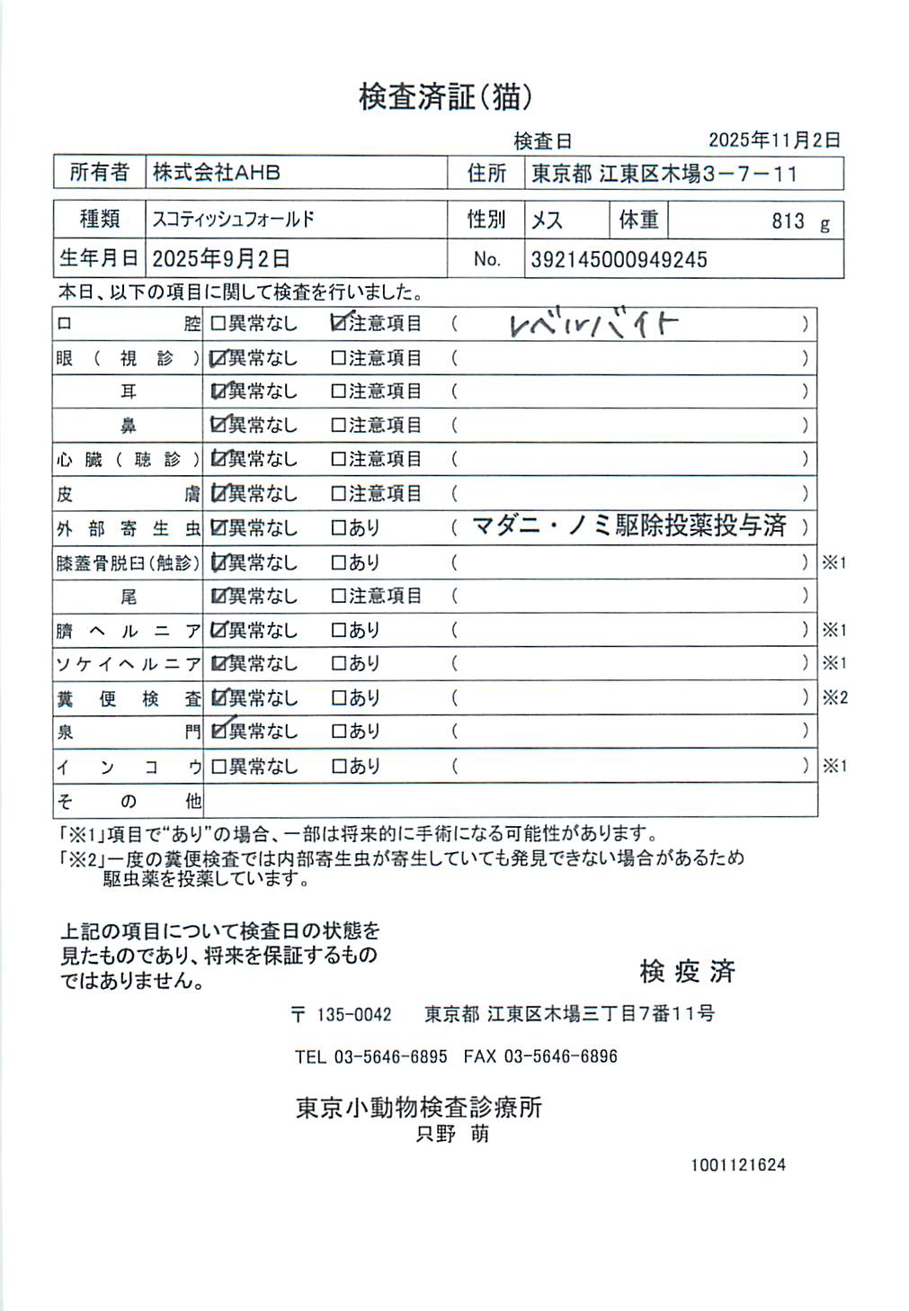 スコティッシュフォールド