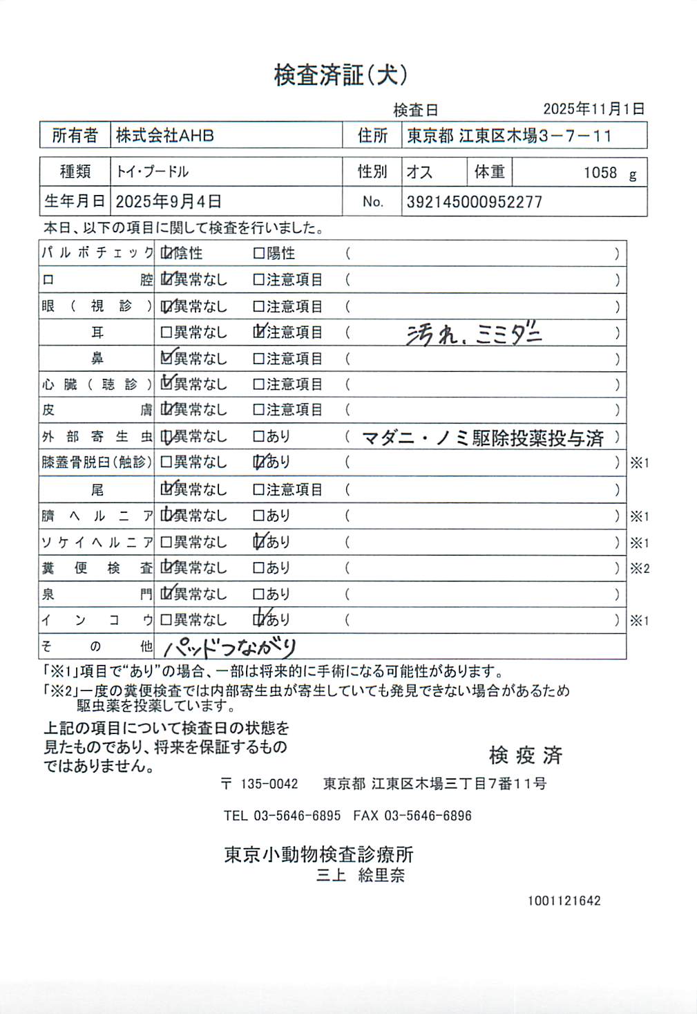 トイ・プードル