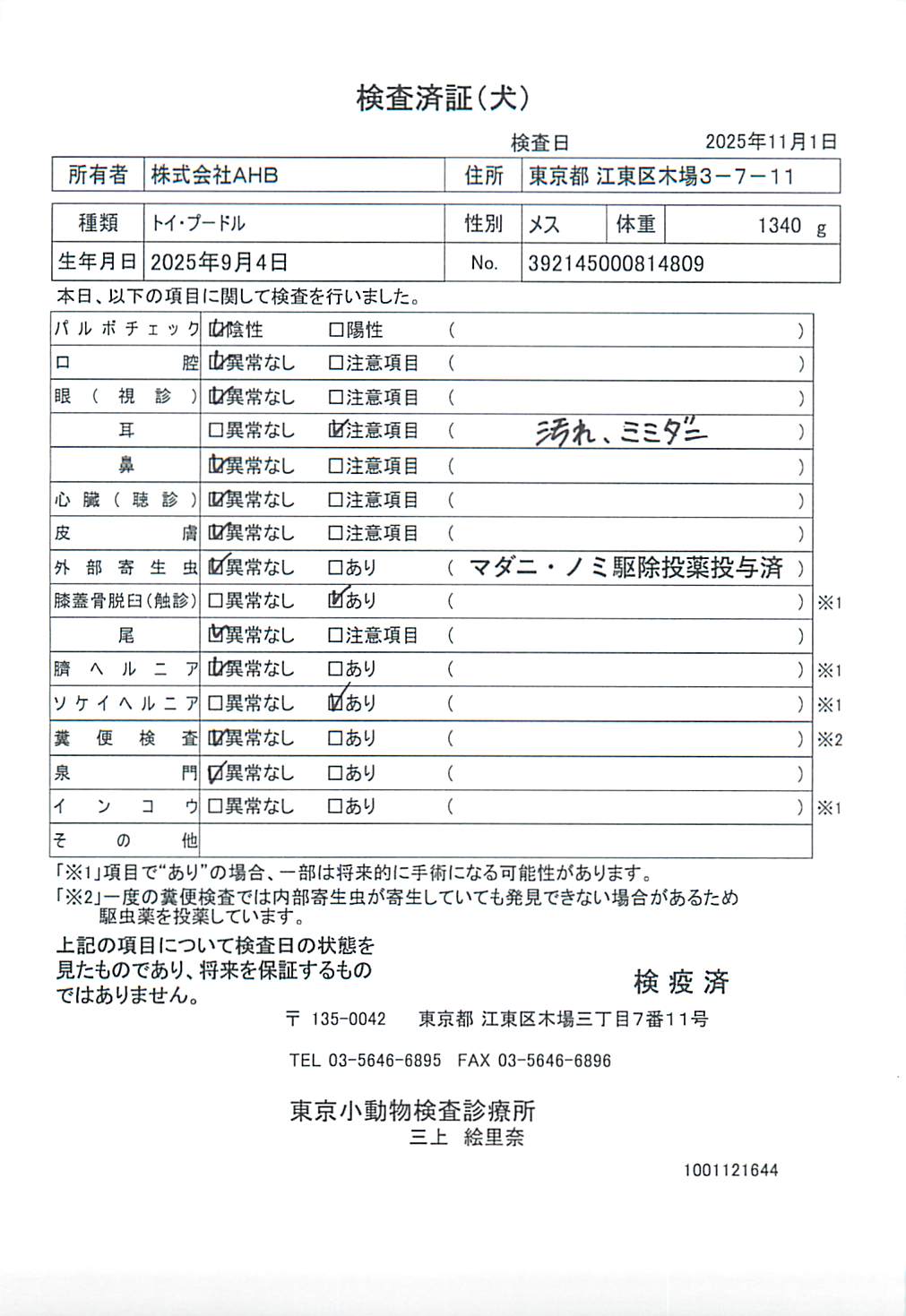 トイ・プードル