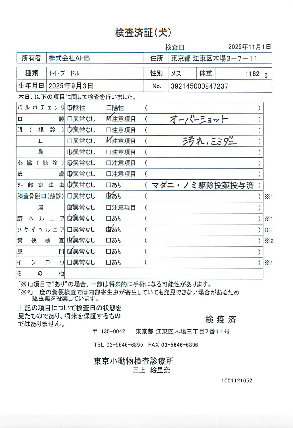 トイ・プードル