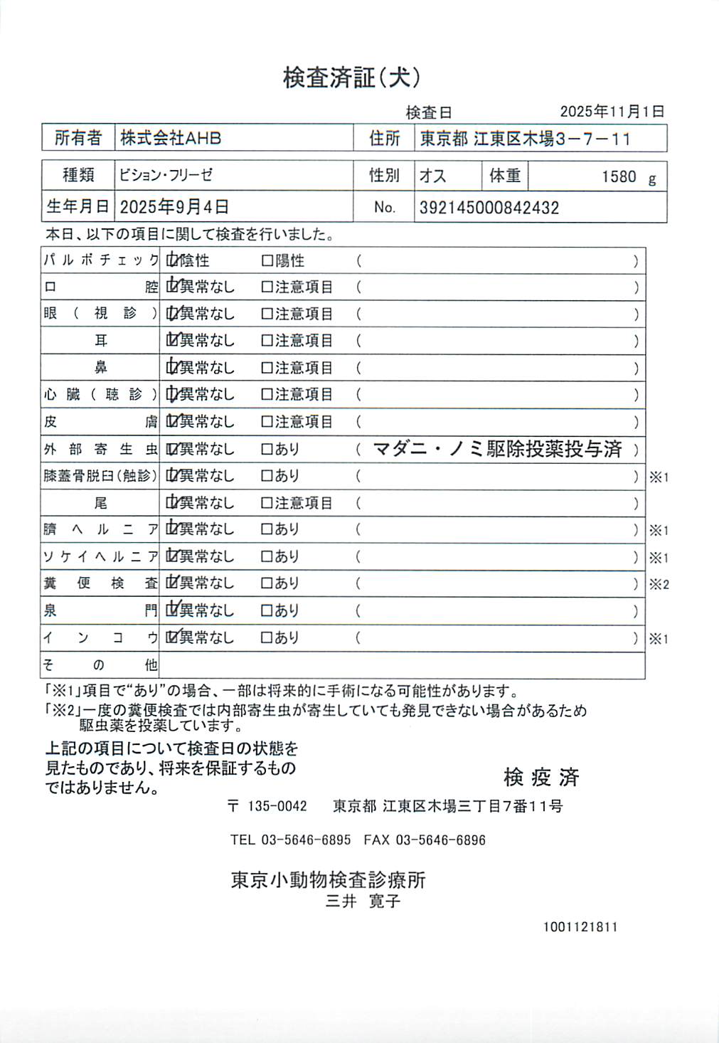 ビション・フリーゼ