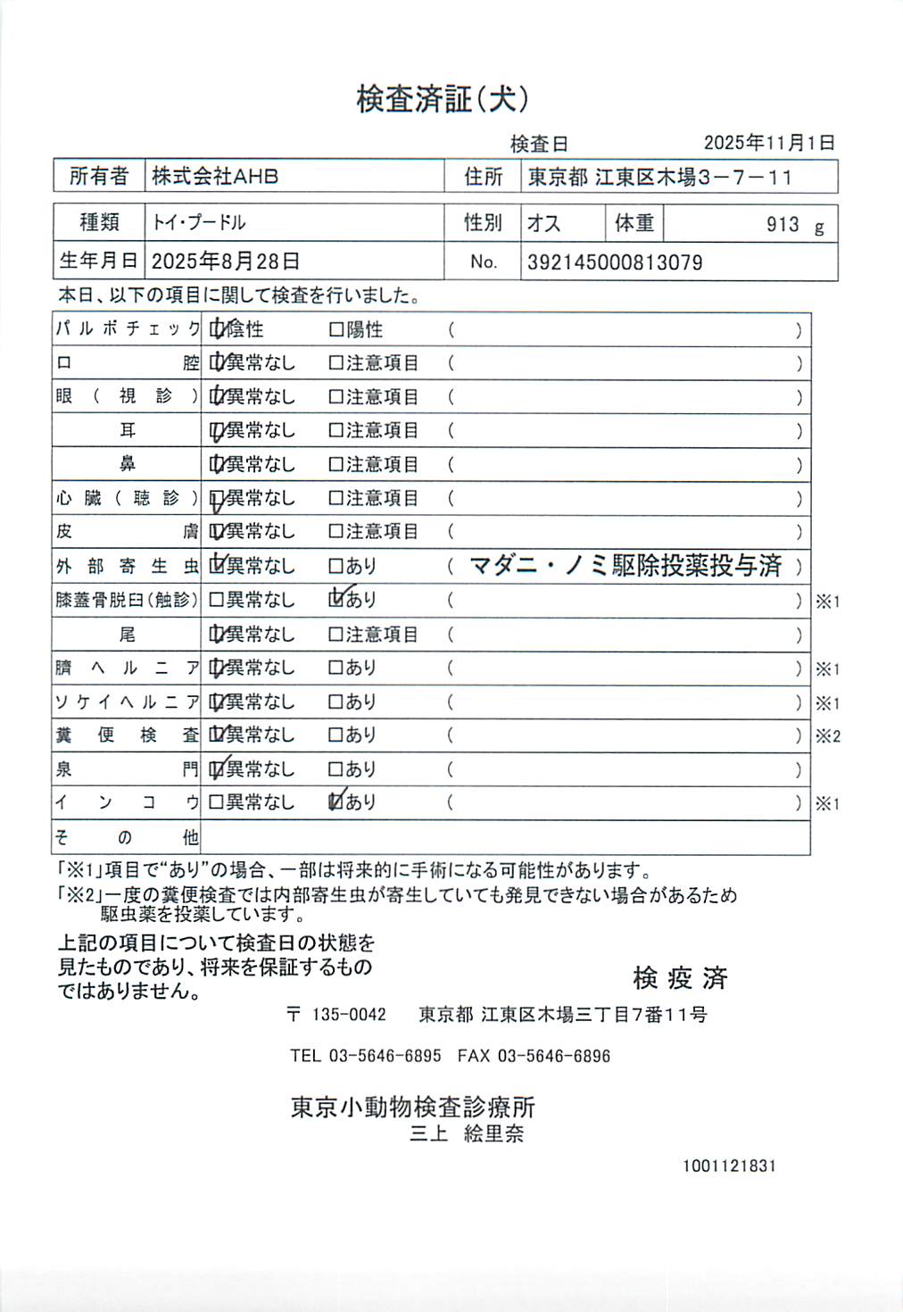 トイ・プードル